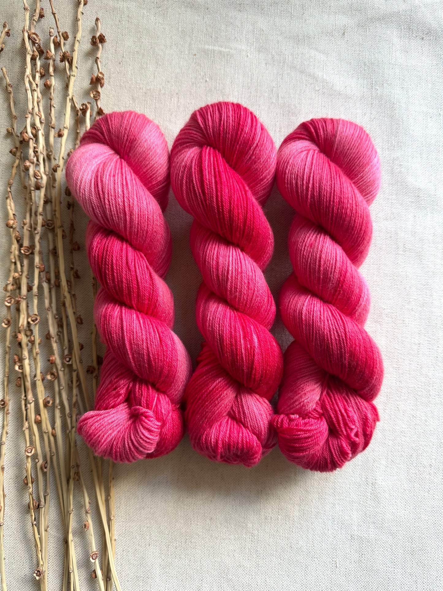 Striped Watermelon 100g SW Merino Nylon