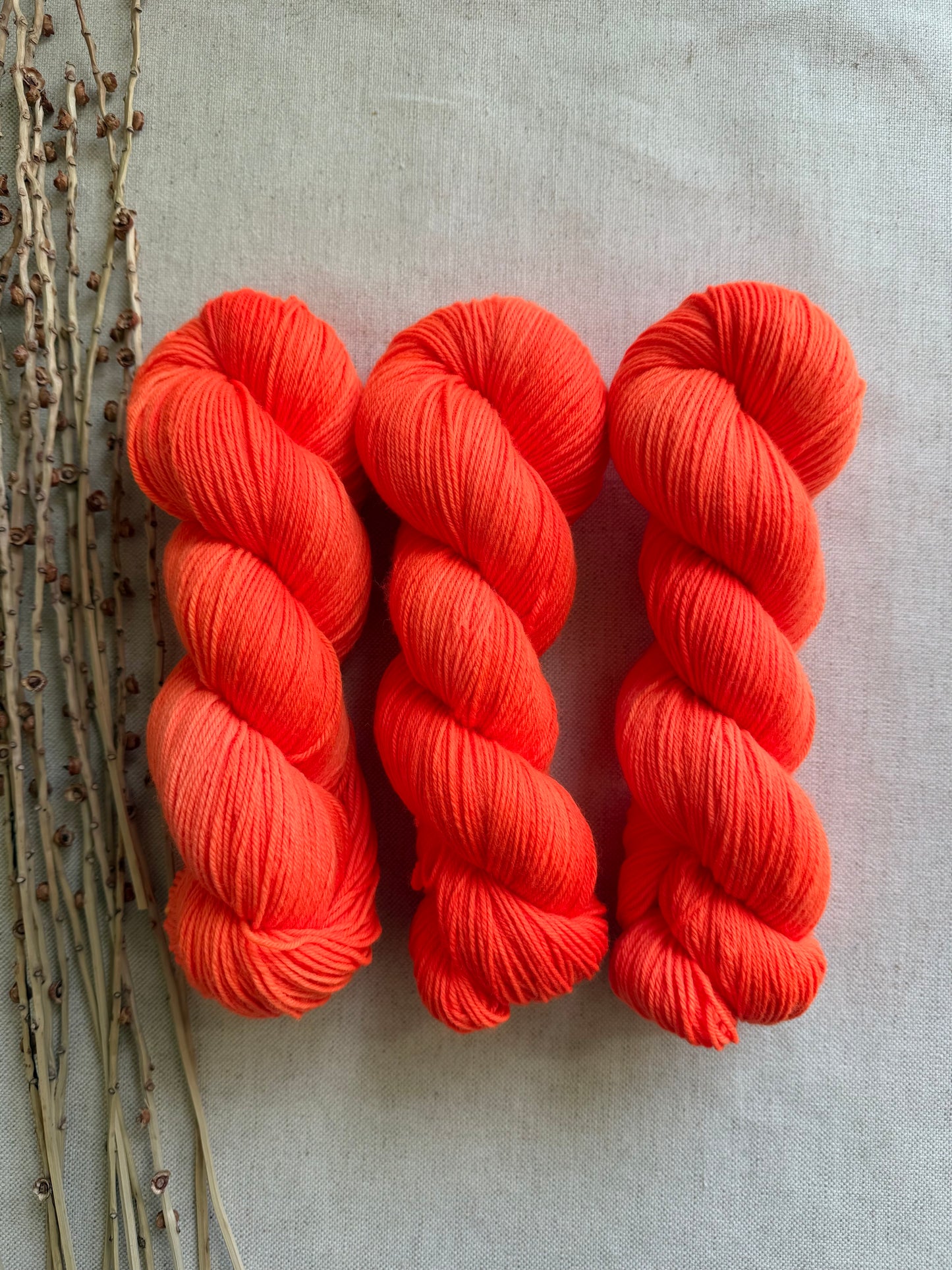 Neon Shrimp SW Merino Nylon 100g Skein