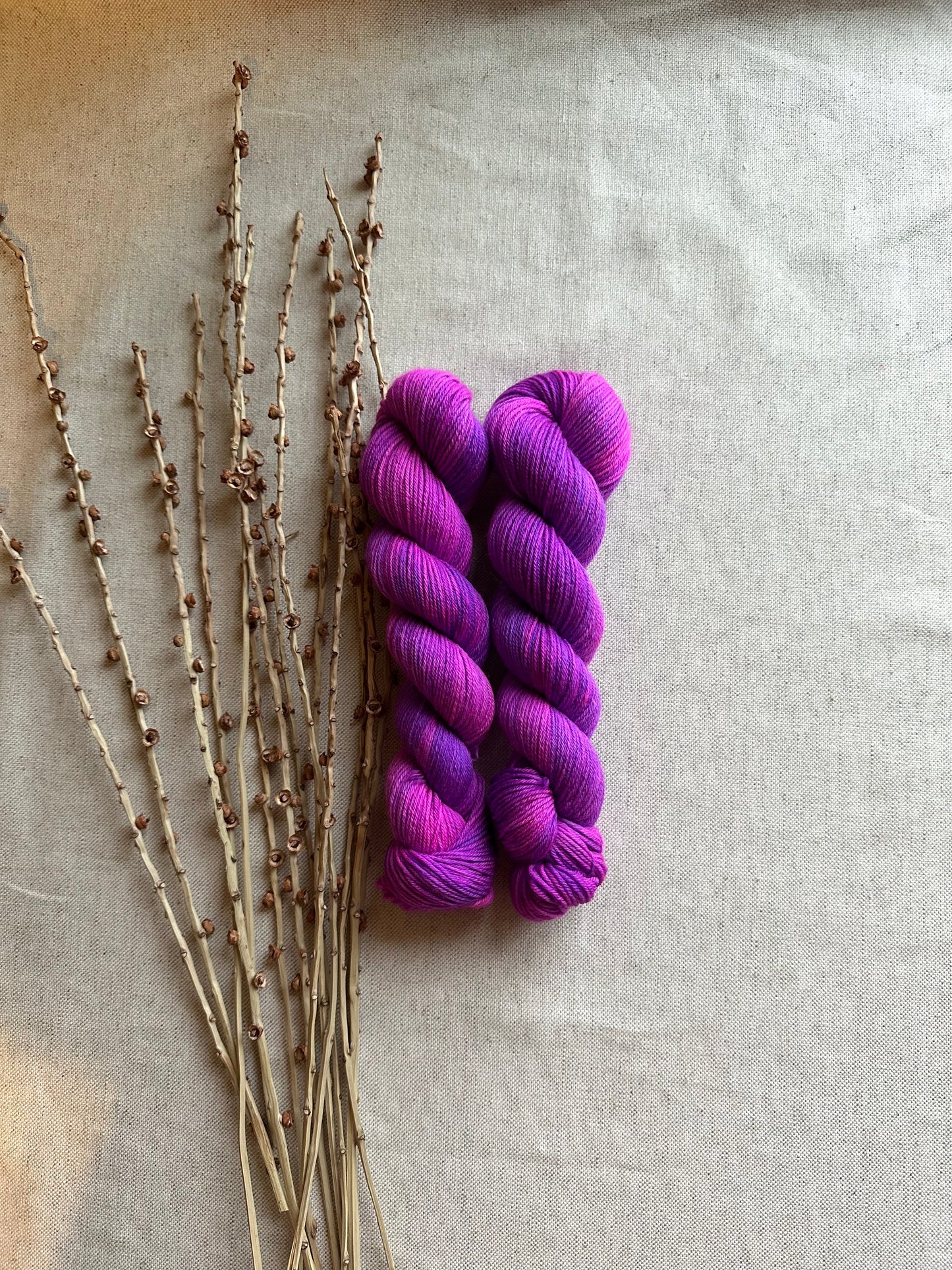 Pop! SW Merino Nylon 50g Skein