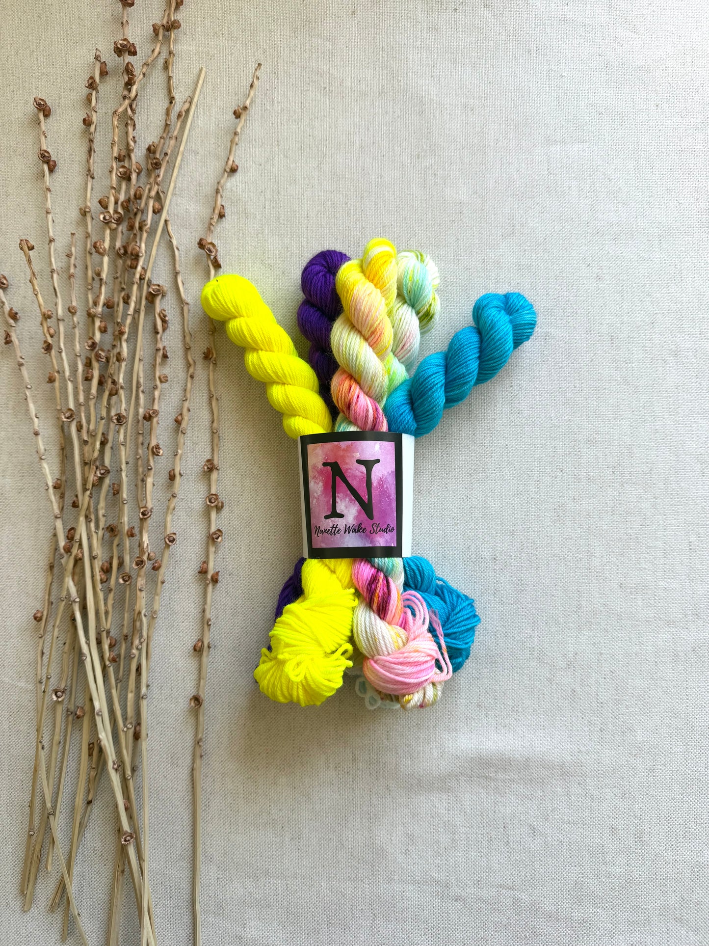 Carousel - SW Merino Nylon Mini Skein Set