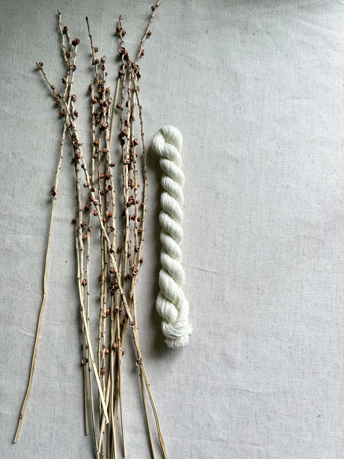 Vanilla Sparkle - SW Merino Nylon Silver Stellina Mini Skein