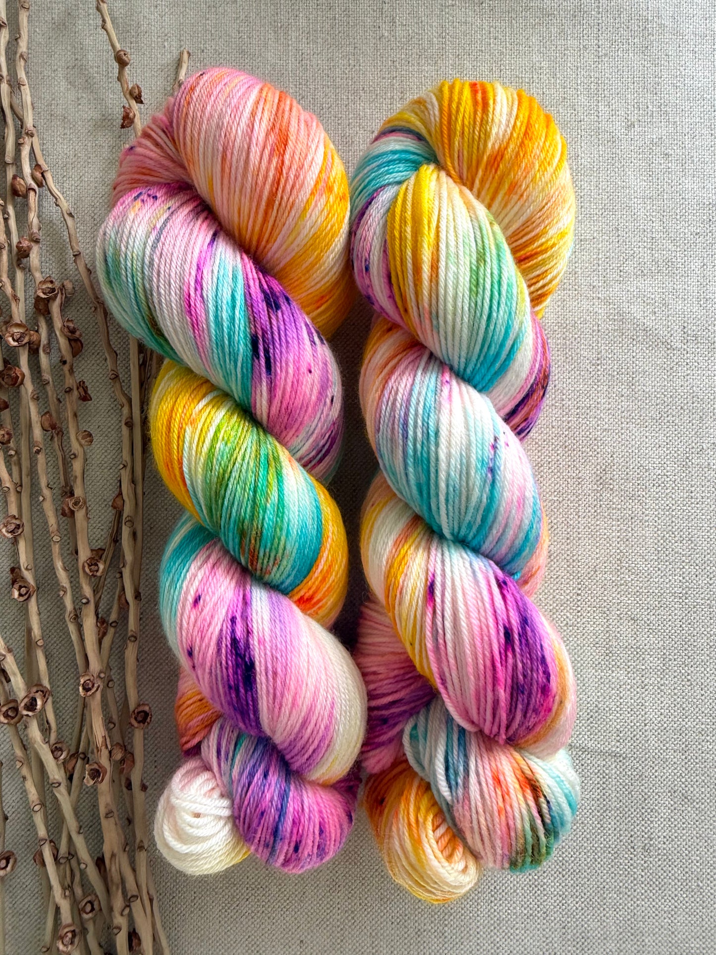 Carousel SW Merino Nylon 100g Skein