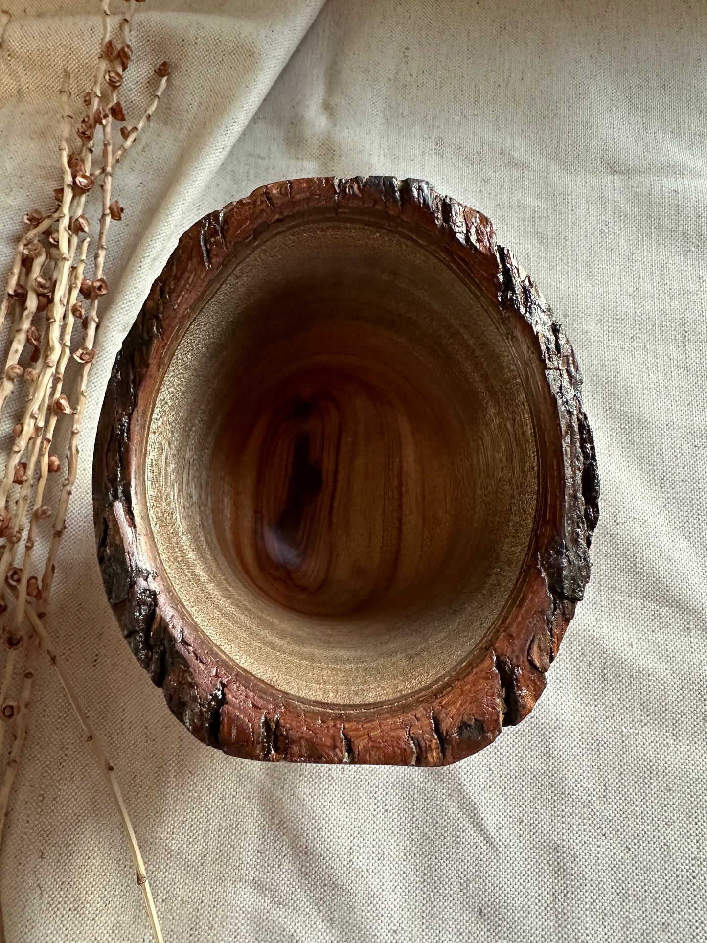 Camphor Hand Turned Bowl with Live Edge