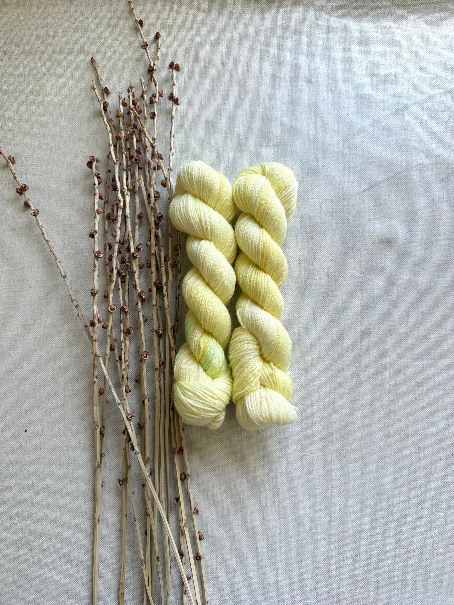 Icy Lemon SW Merino Nylon 50g
