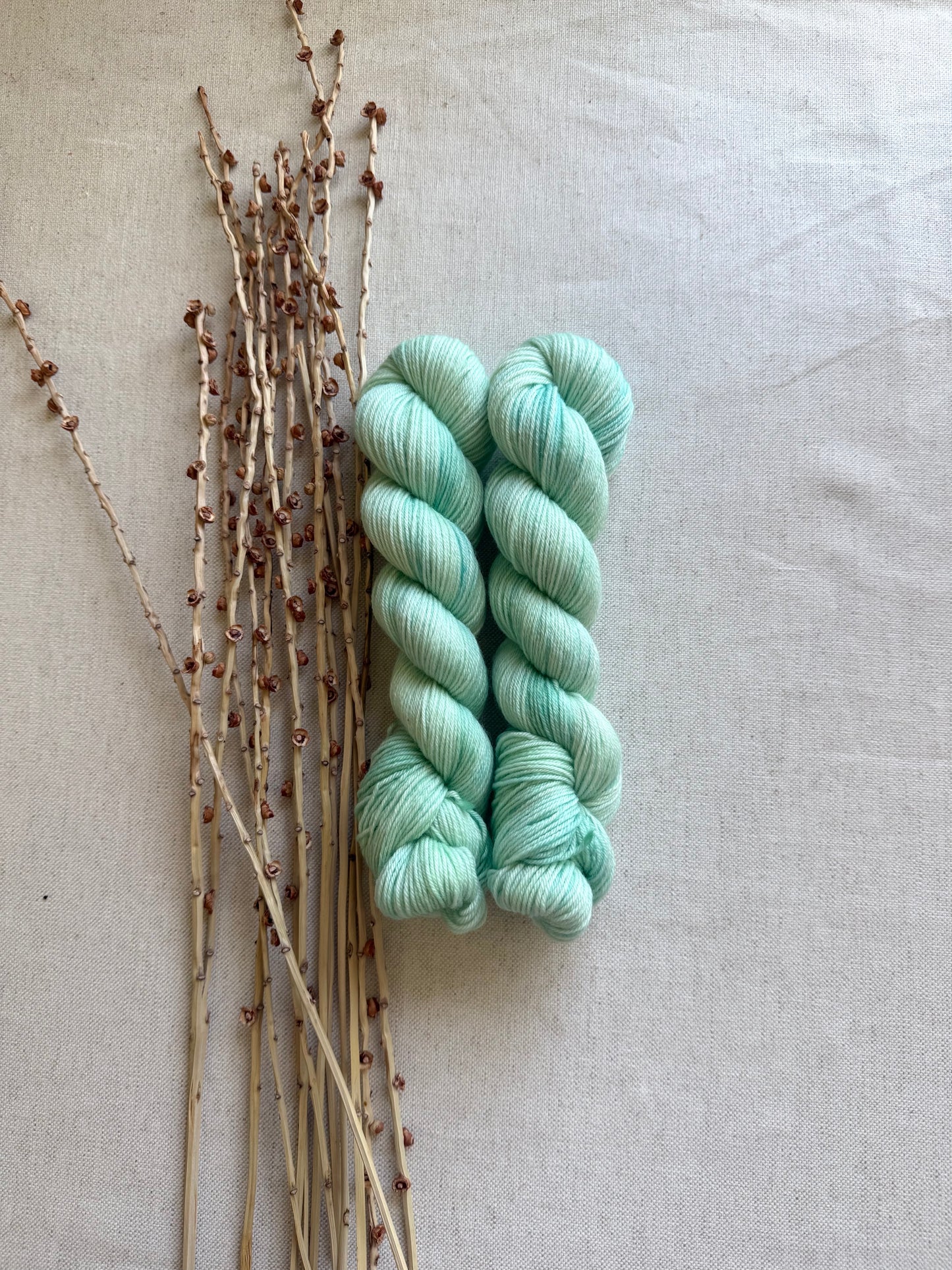 Minty 50g Skein