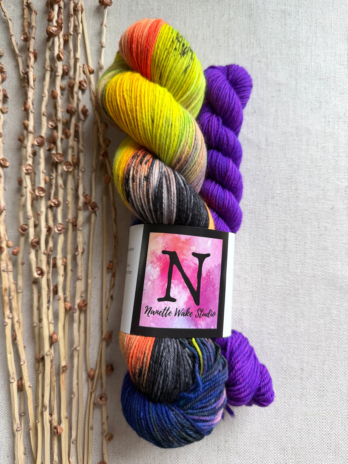 Witchiepoo Sock Set