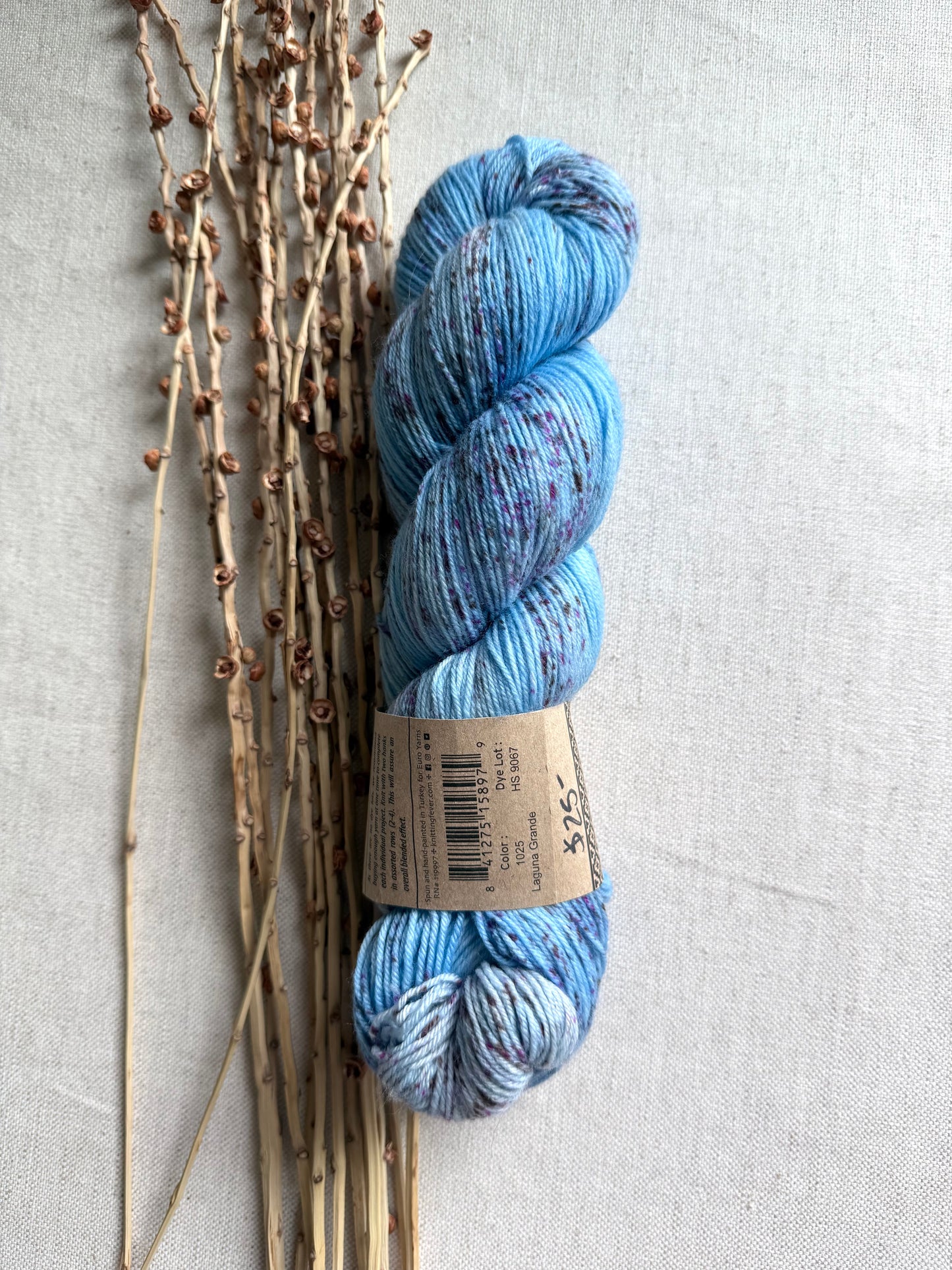 Araucania Huasco Sock