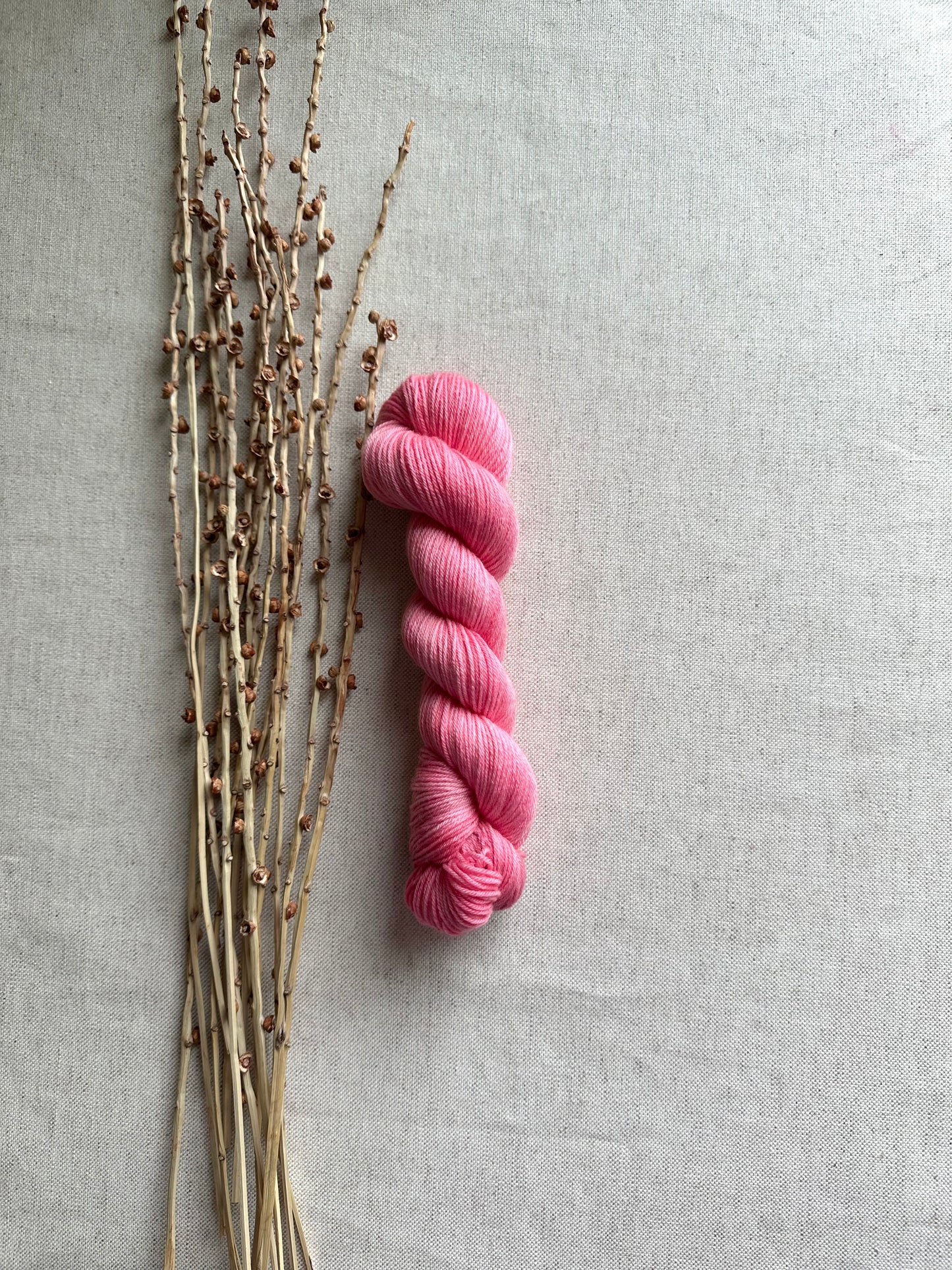 Baby Flamingo SW Merino Nylon 50g