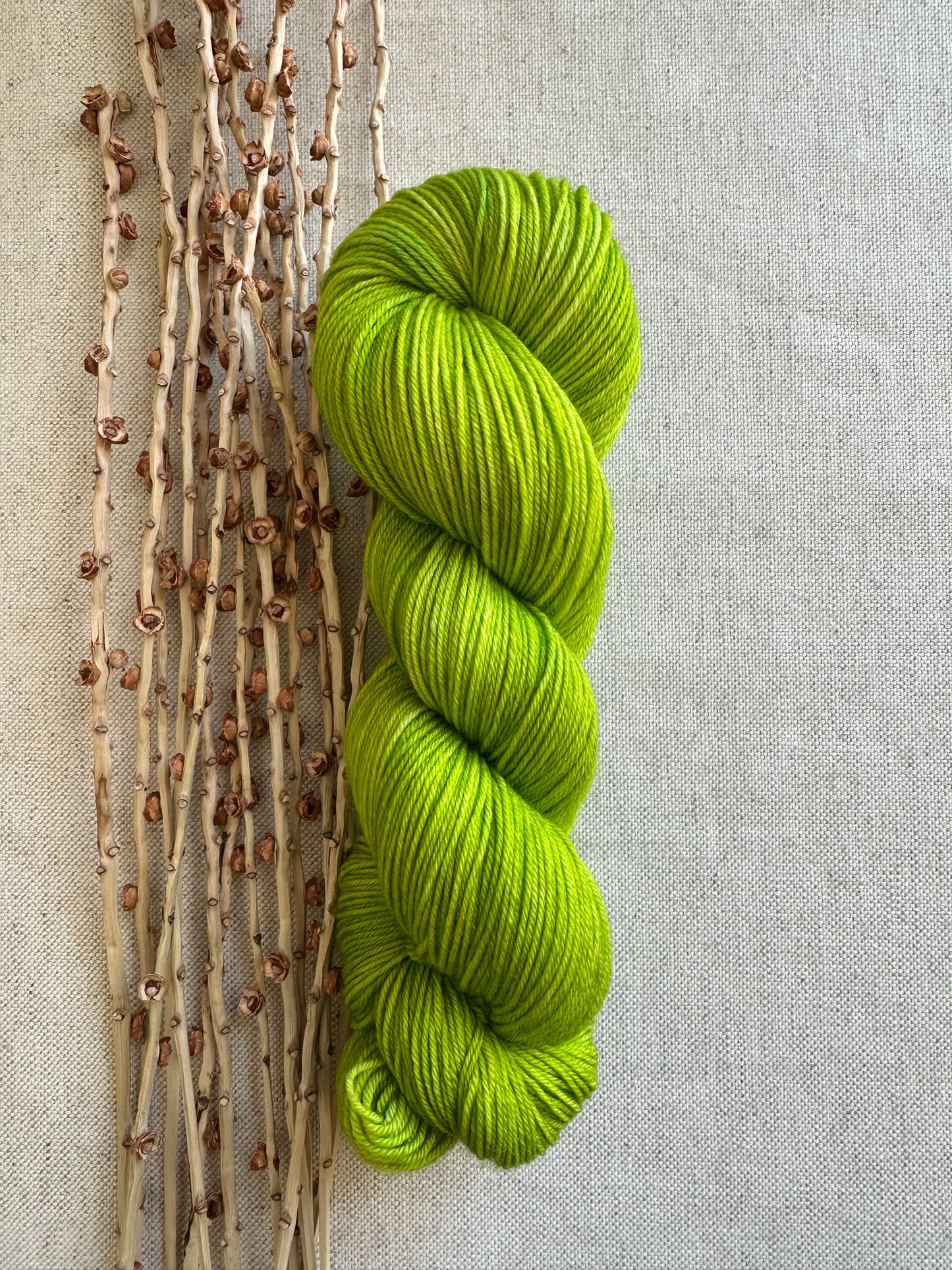 Eeriedescent 100g Skein