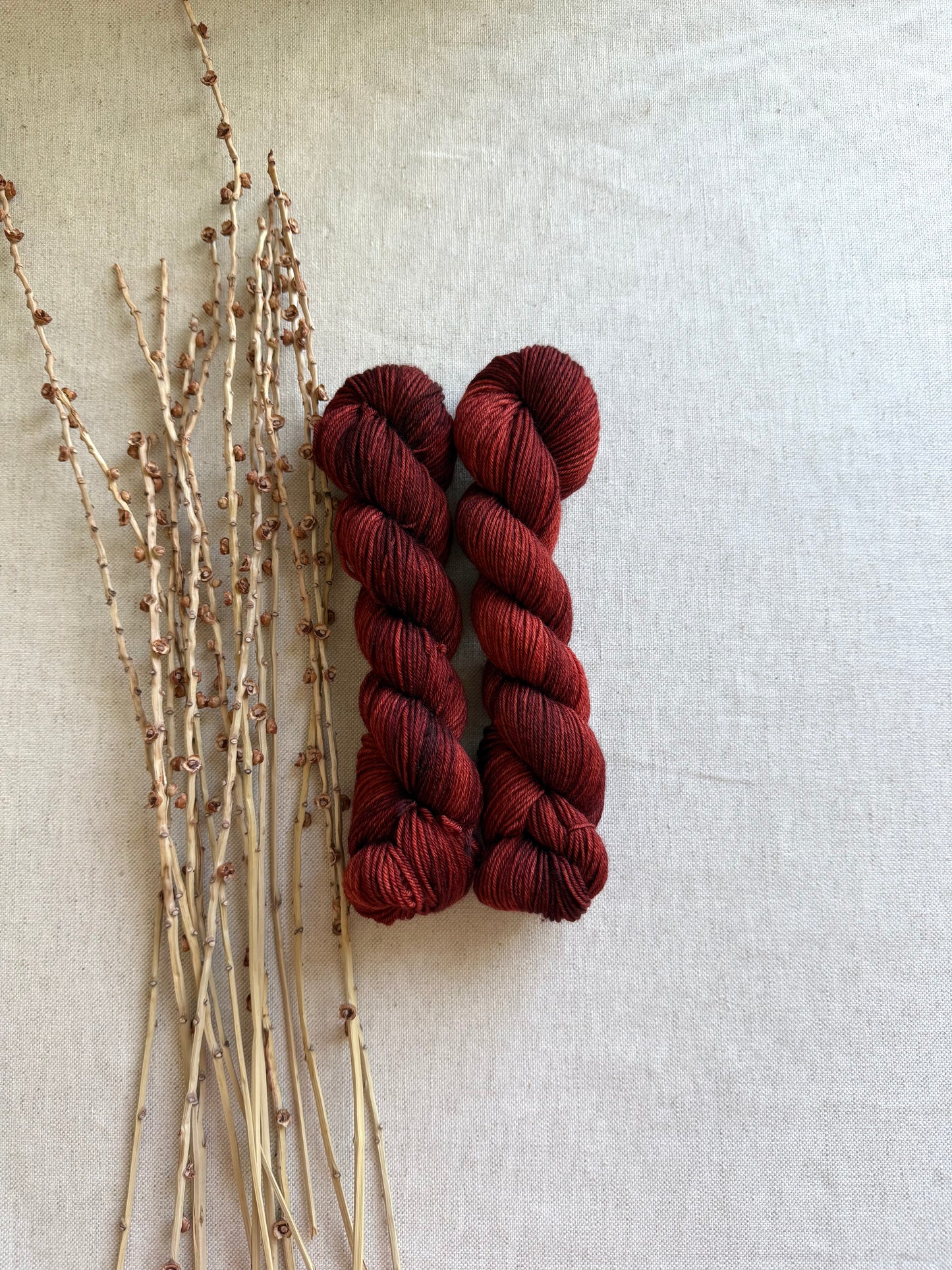 Chili Pepper SW Merino Nylon 50g Skein