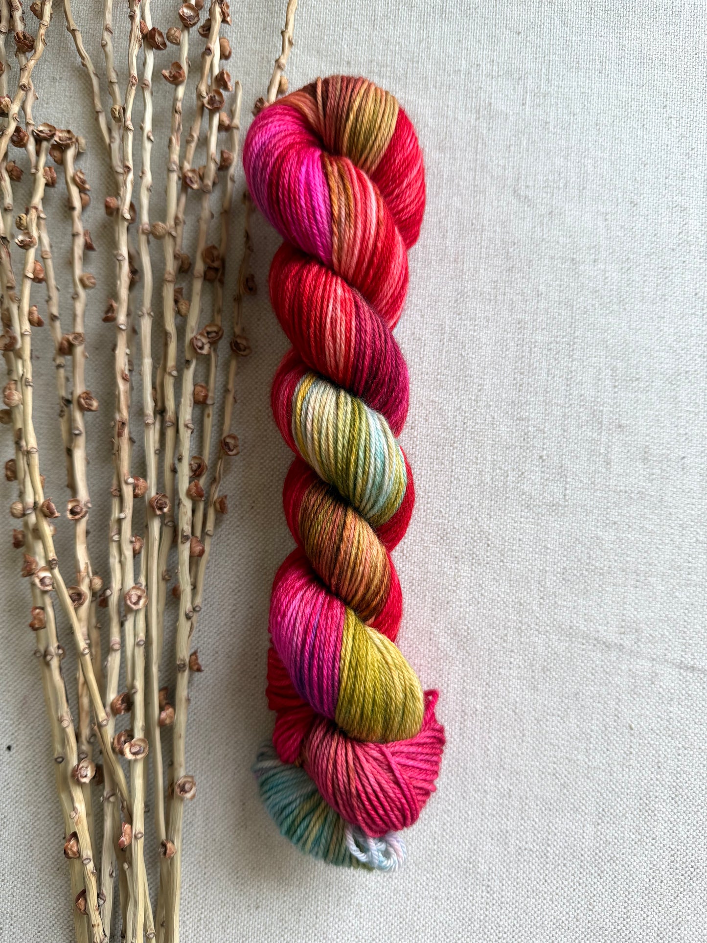 Olympic Sunrise - A Washington State Colorway SW Merino Nylon 50g