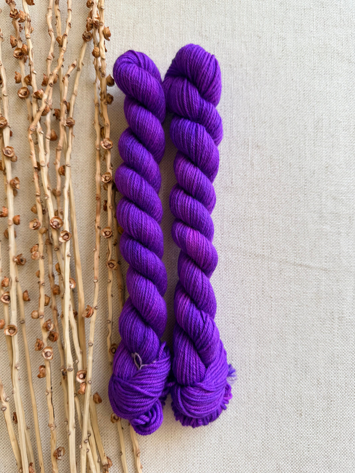 Sturdy Sock - 20g