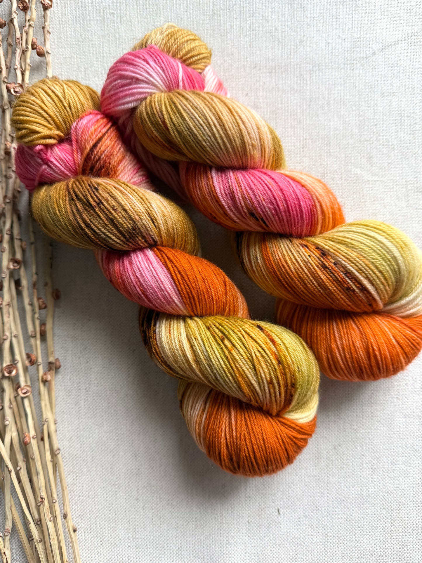 Zinna 100g SW Merino Nylon