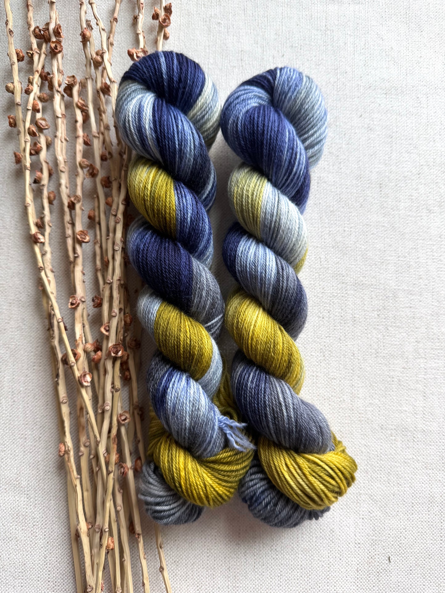 Blue Lake - A Washington State Colorway SW Merino Nylon 50g