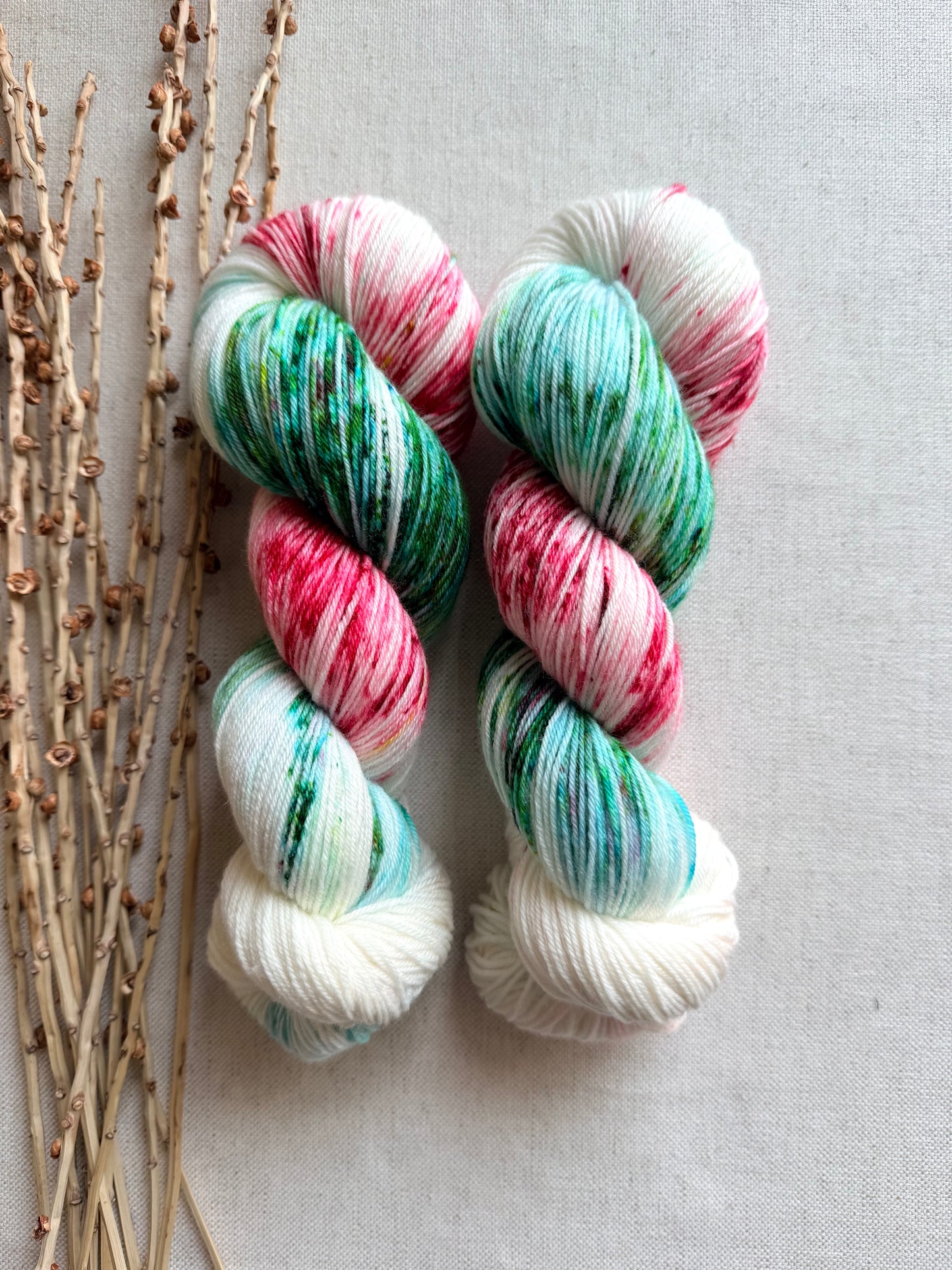Christmas Eve 100g SW Merino Nylon