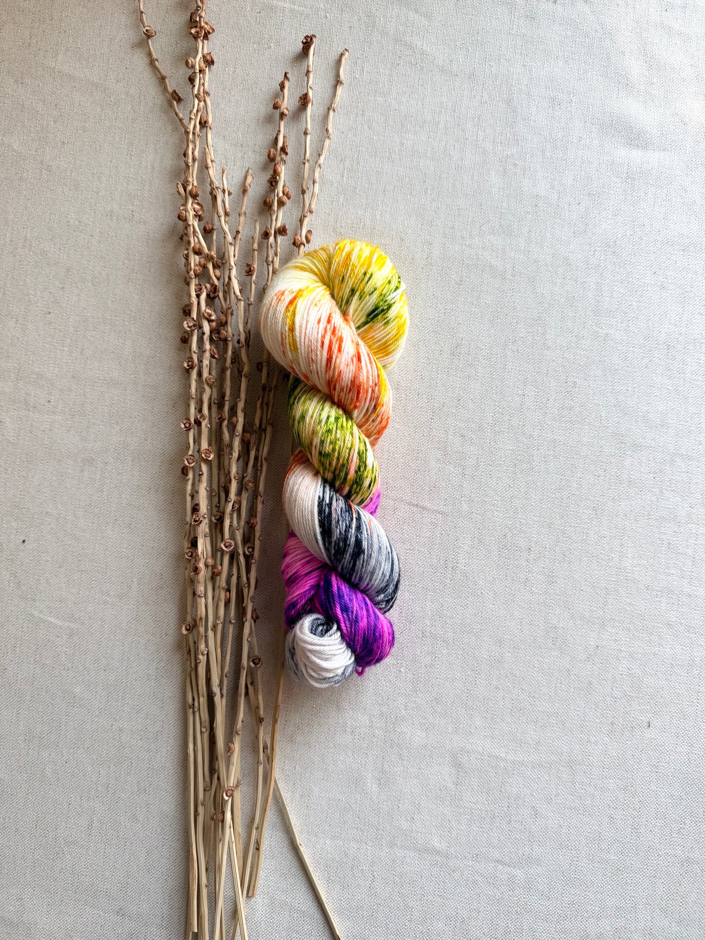 Witchiepoo - 100g SW Merino Nylon