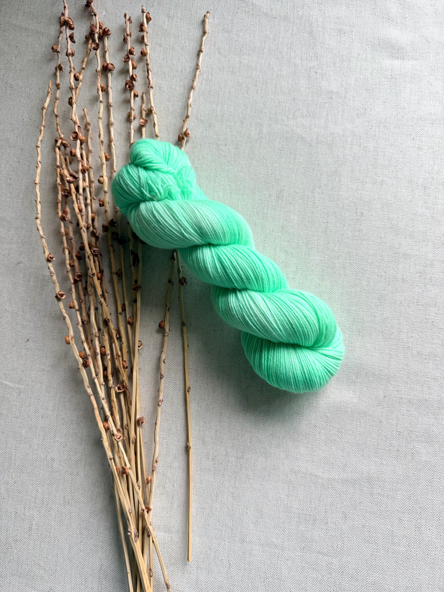 Minty 100g SW Merino Nylon