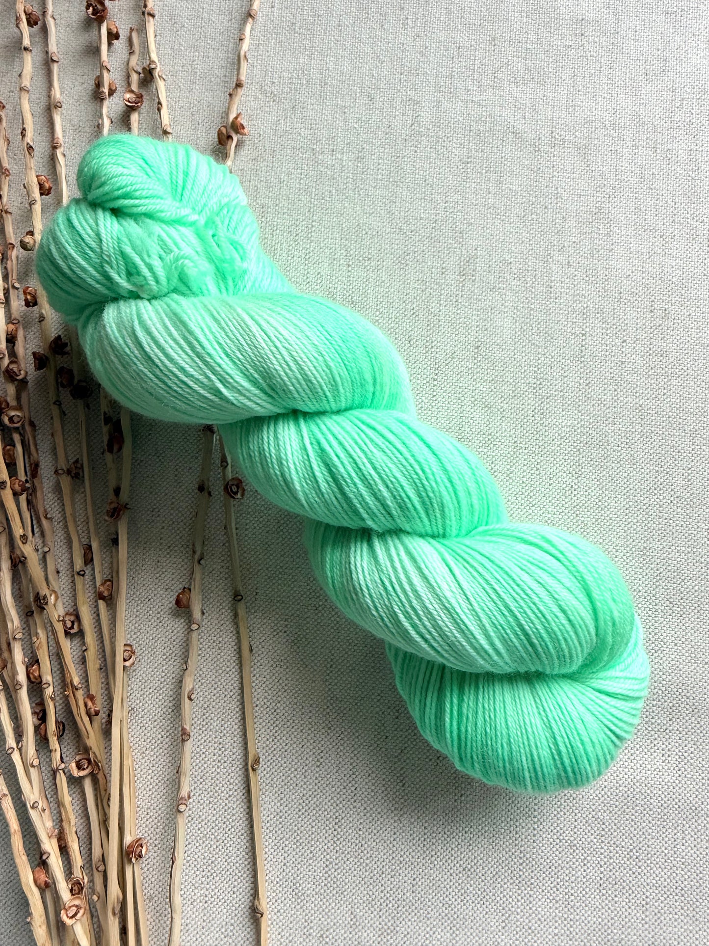 Minty 100g SW Merino Nylon