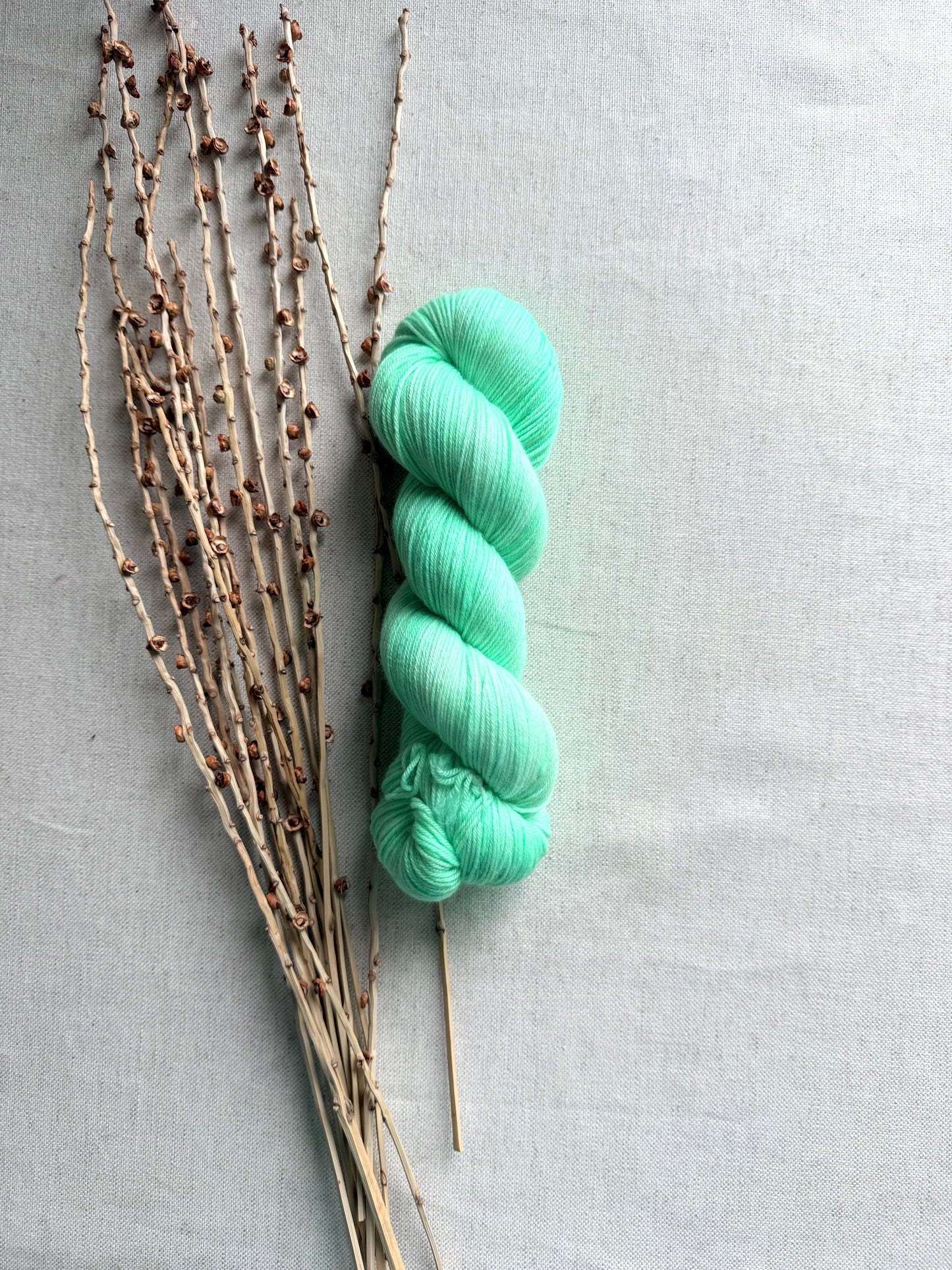 Minty 100g SW Merino Nylon