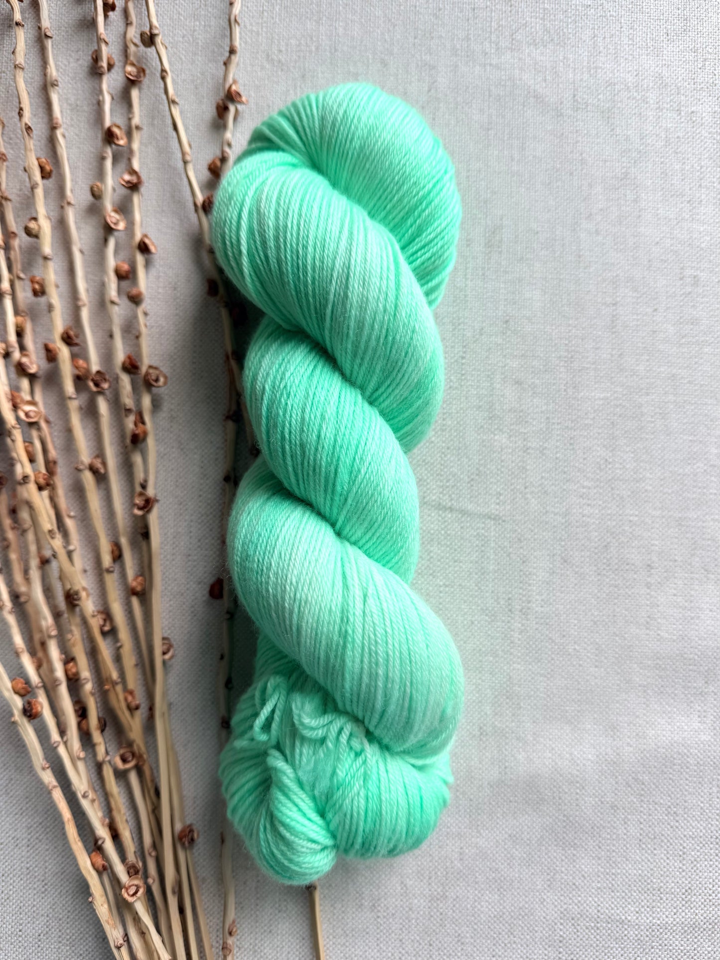 Minty 100g SW Merino Nylon