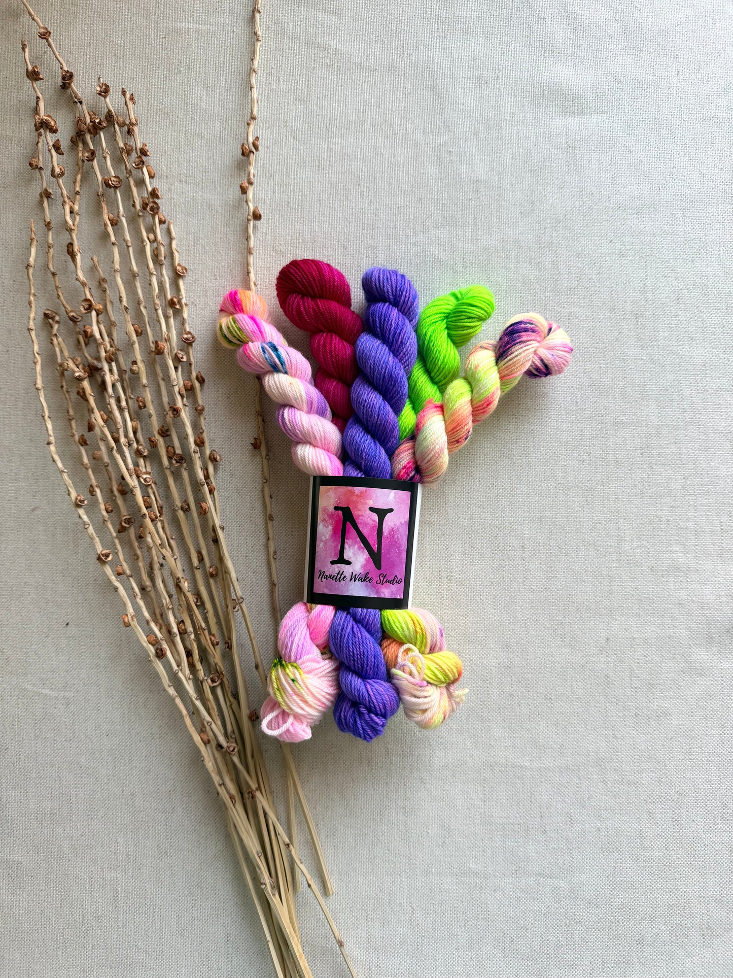Fairy Sparkles - SW Merino Nylon Mini Skein Set