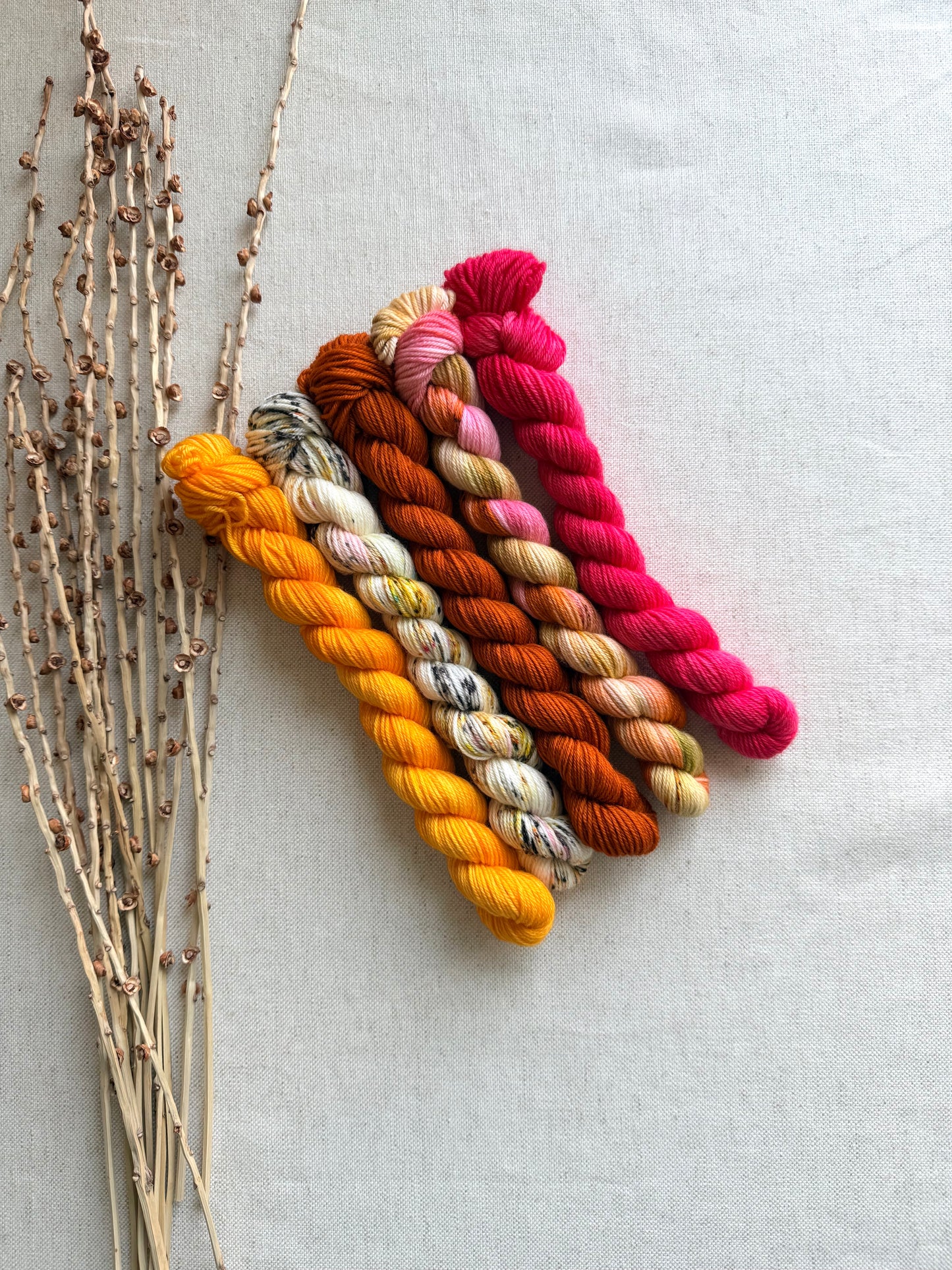 Zinna - SW Merino Nylon Mini Skein Set