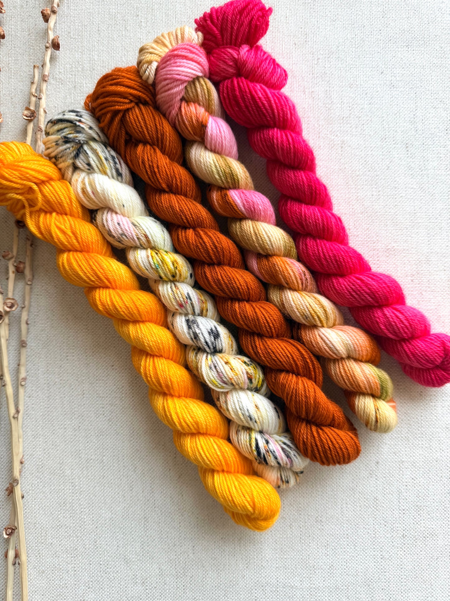 Zinna - SW Merino Nylon Mini Skein Set
