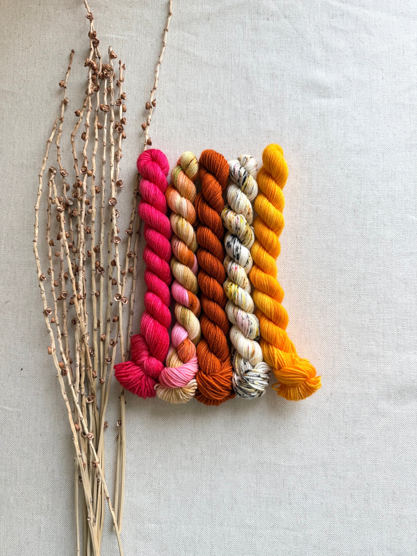 Zinna - SW Merino Nylon Mini Skein Set