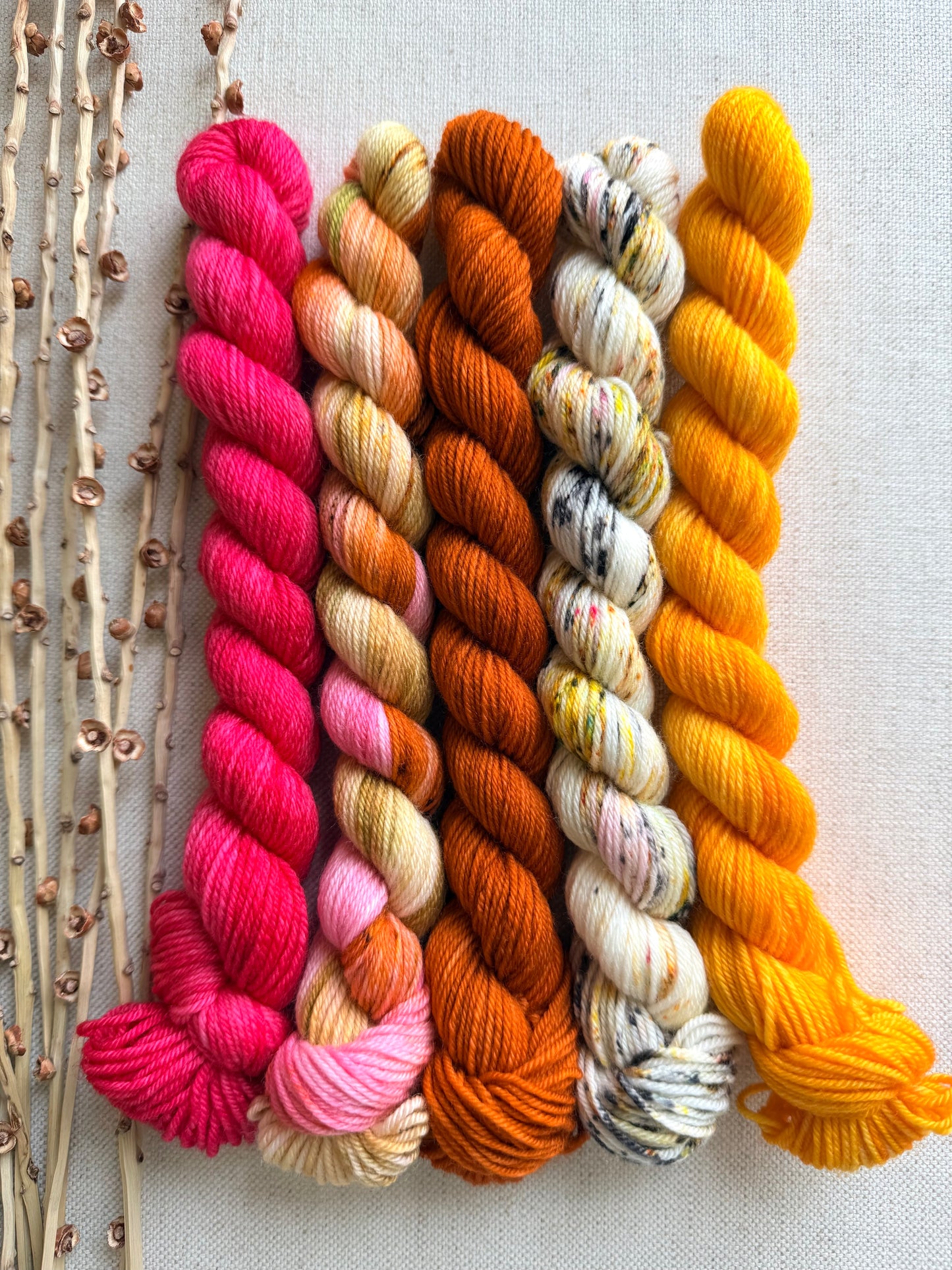 Zinna - SW Merino Nylon Mini Skein Set