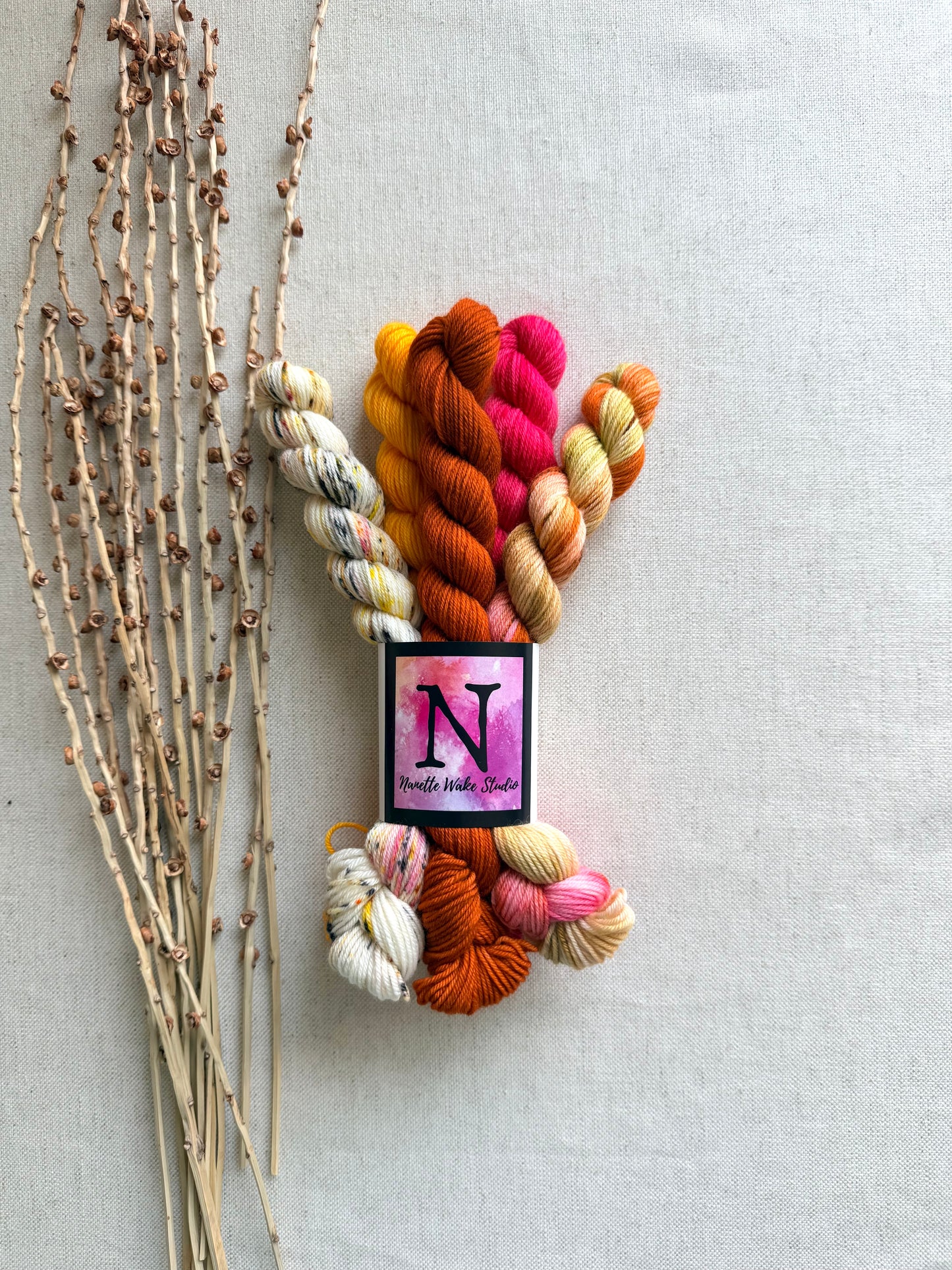 Zinna - SW Merino Nylon Mini Skein Set