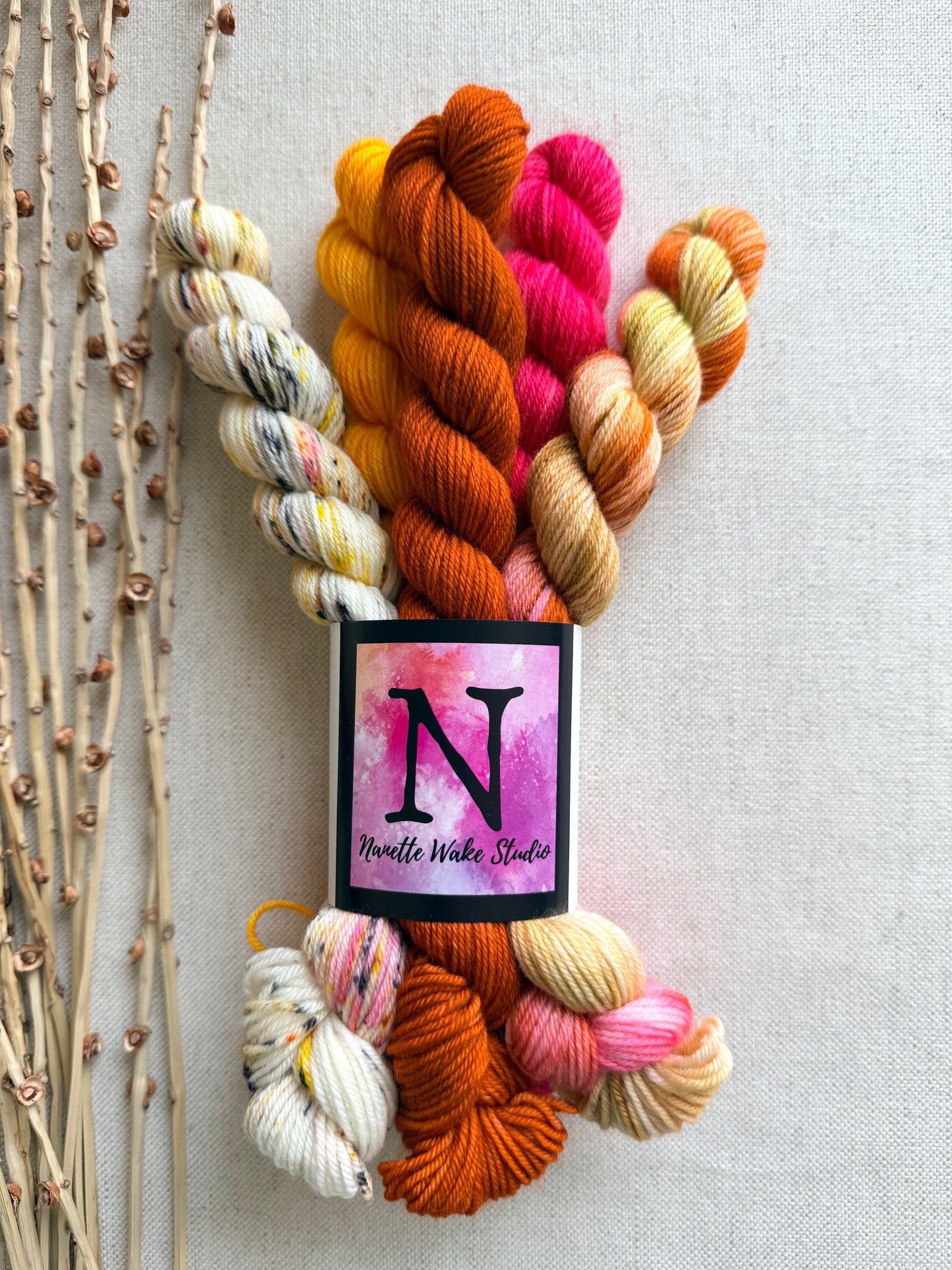 Zinna - SW Merino Nylon Mini Skein Set
