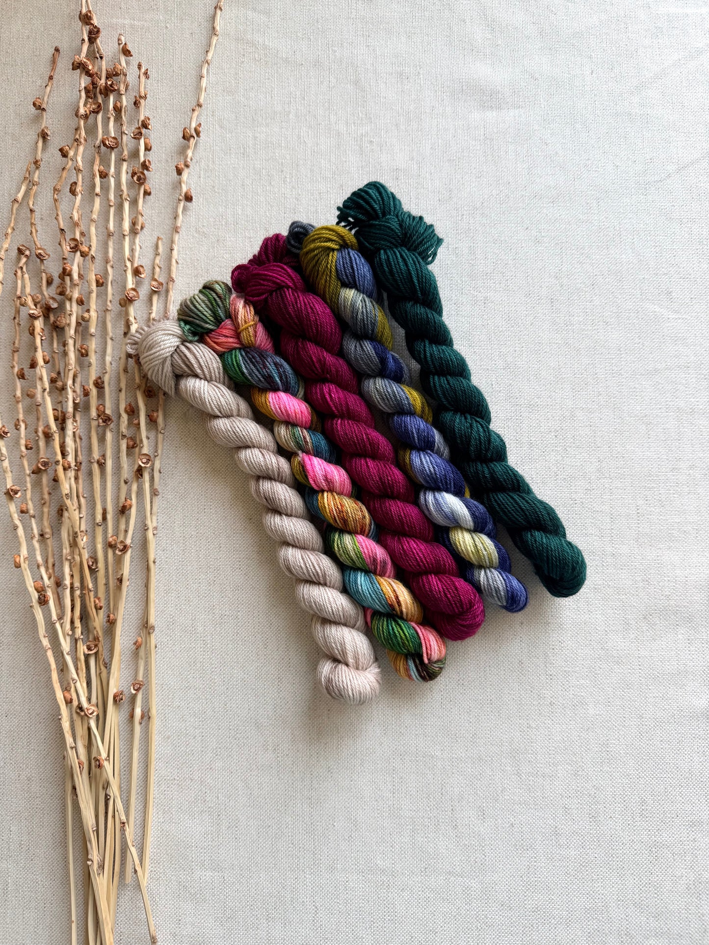 Old Barn Door - SW Merino Nylon Mini Skein Set