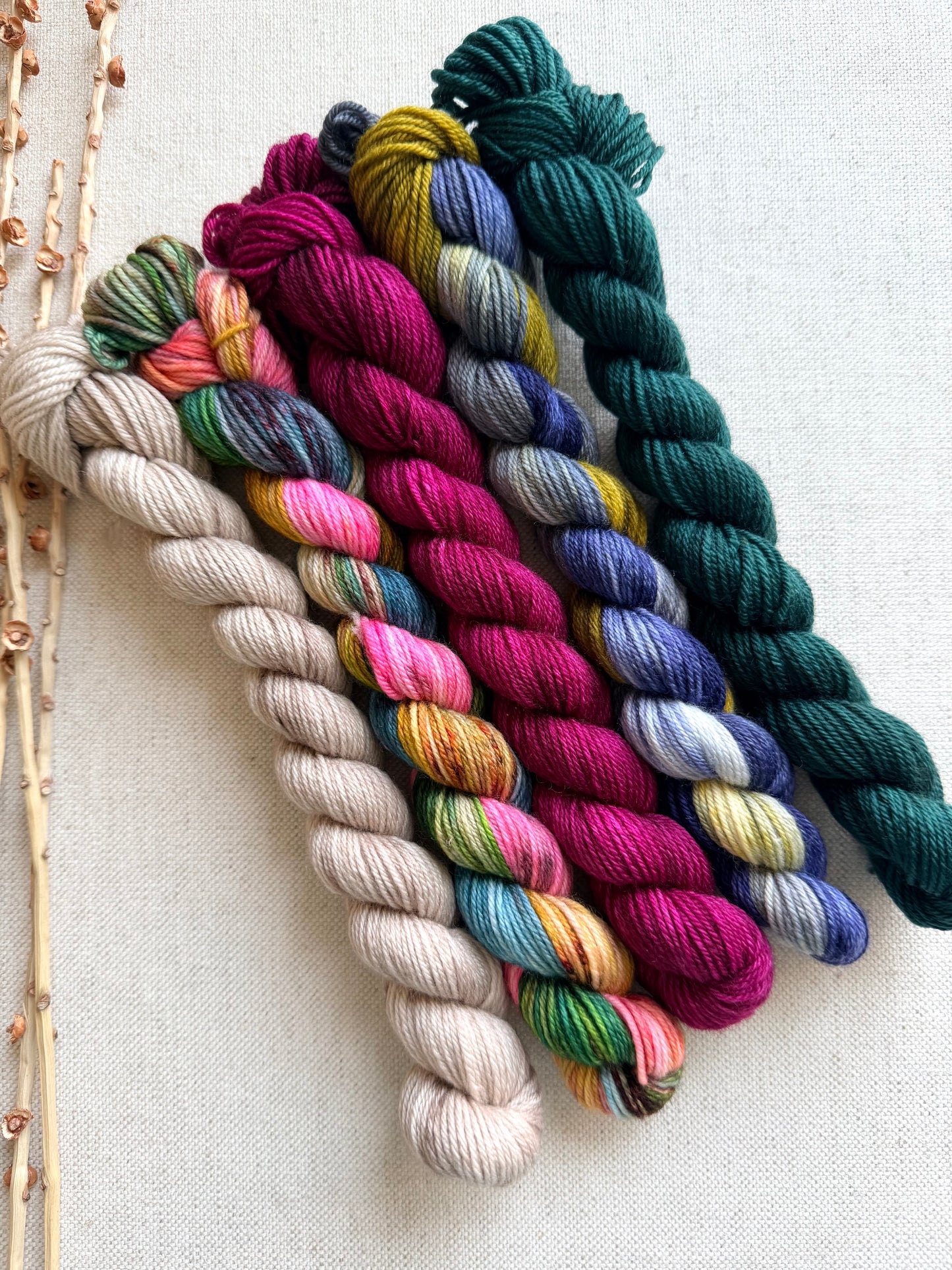 Old Barn Door - SW Merino Nylon Mini Skein Set