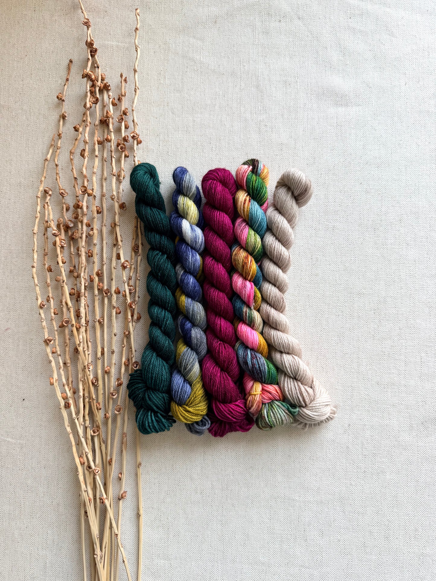Old Barn Door - SW Merino Nylon Mini Skein Set