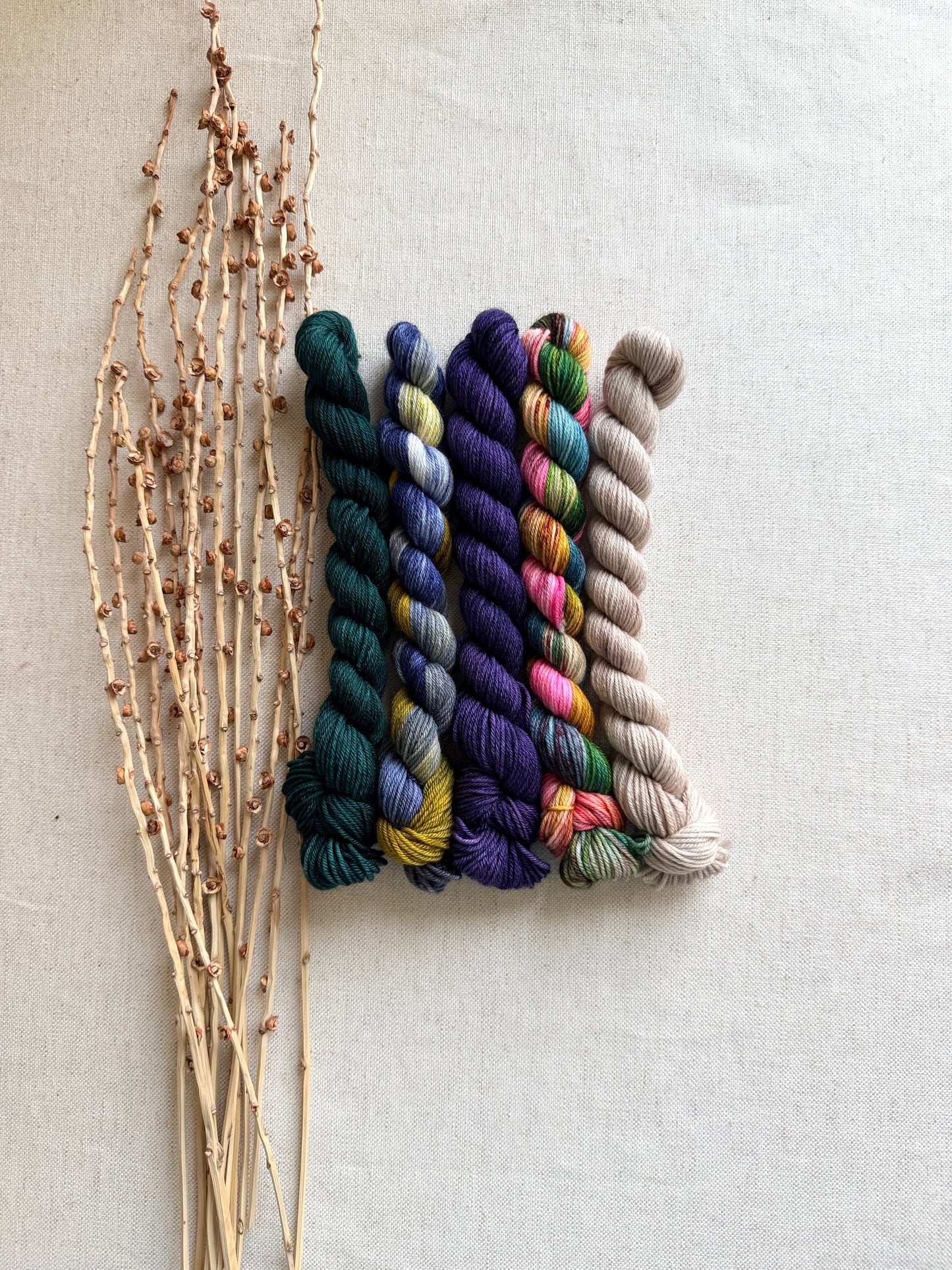 Old Barn Door - SW Merino Nylon Mini Skein Set