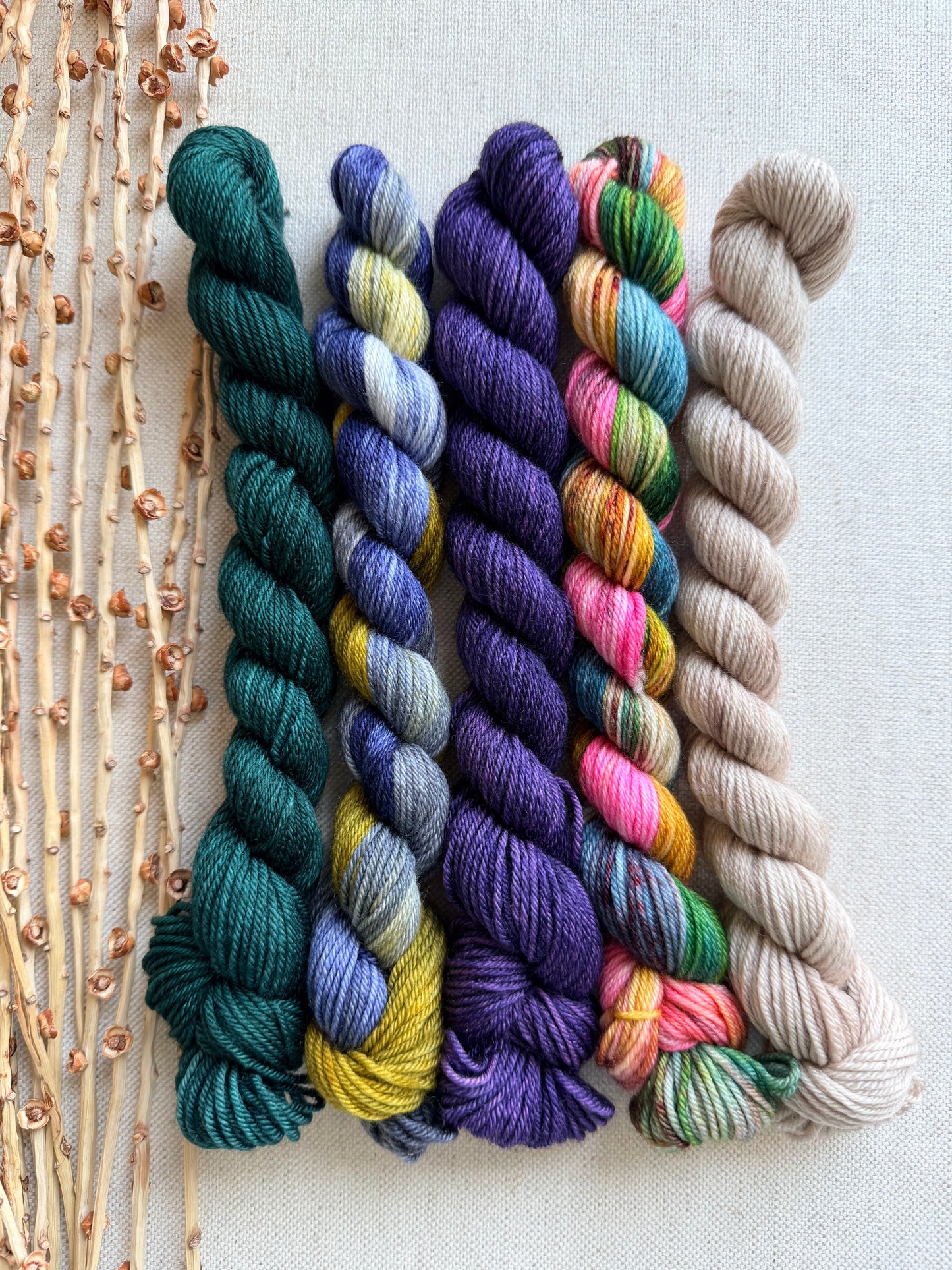 Old Barn Door - SW Merino Nylon Mini Skein Set
