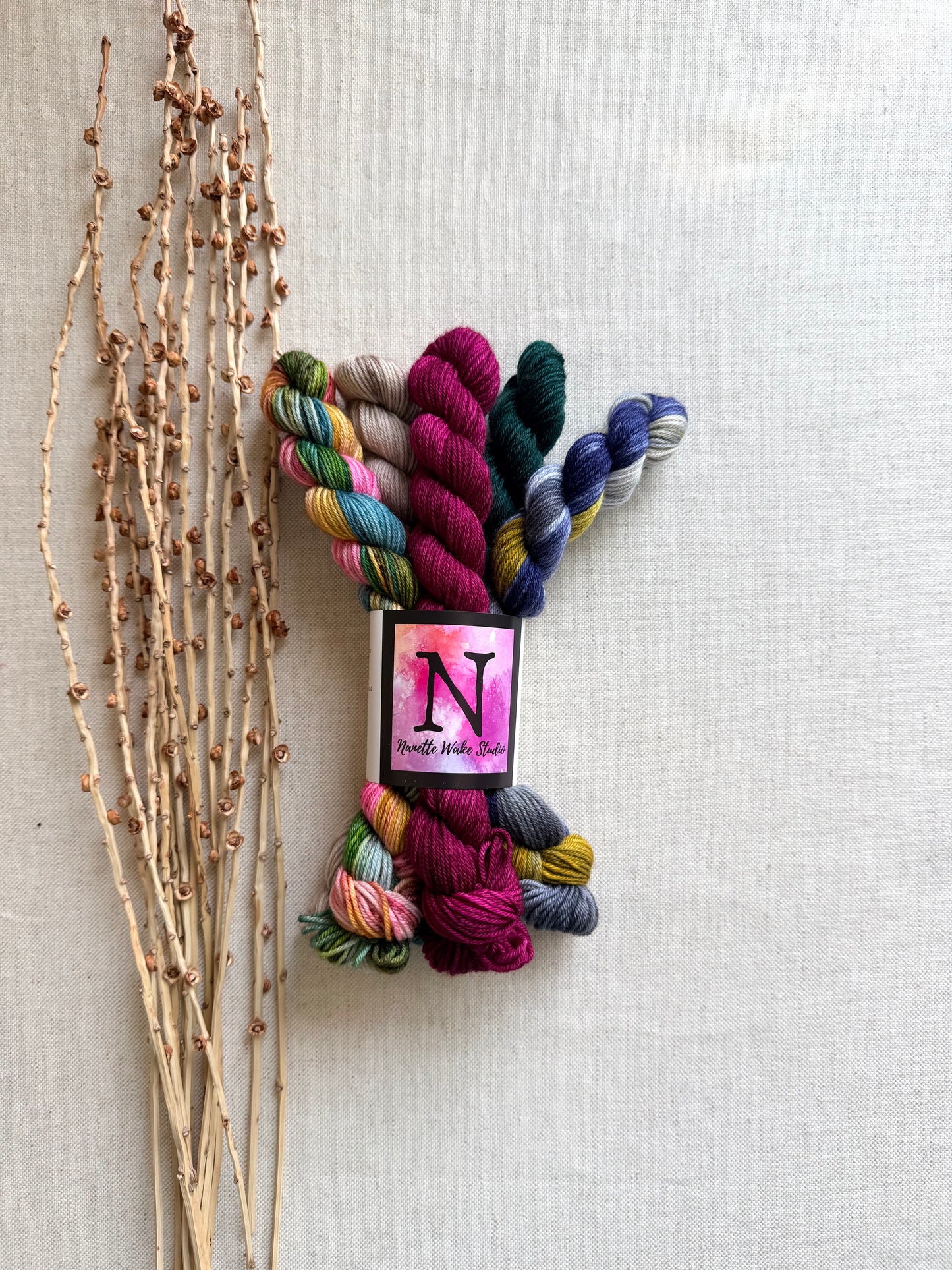 Old Barn Door - SW Merino Nylon Mini Skein Set