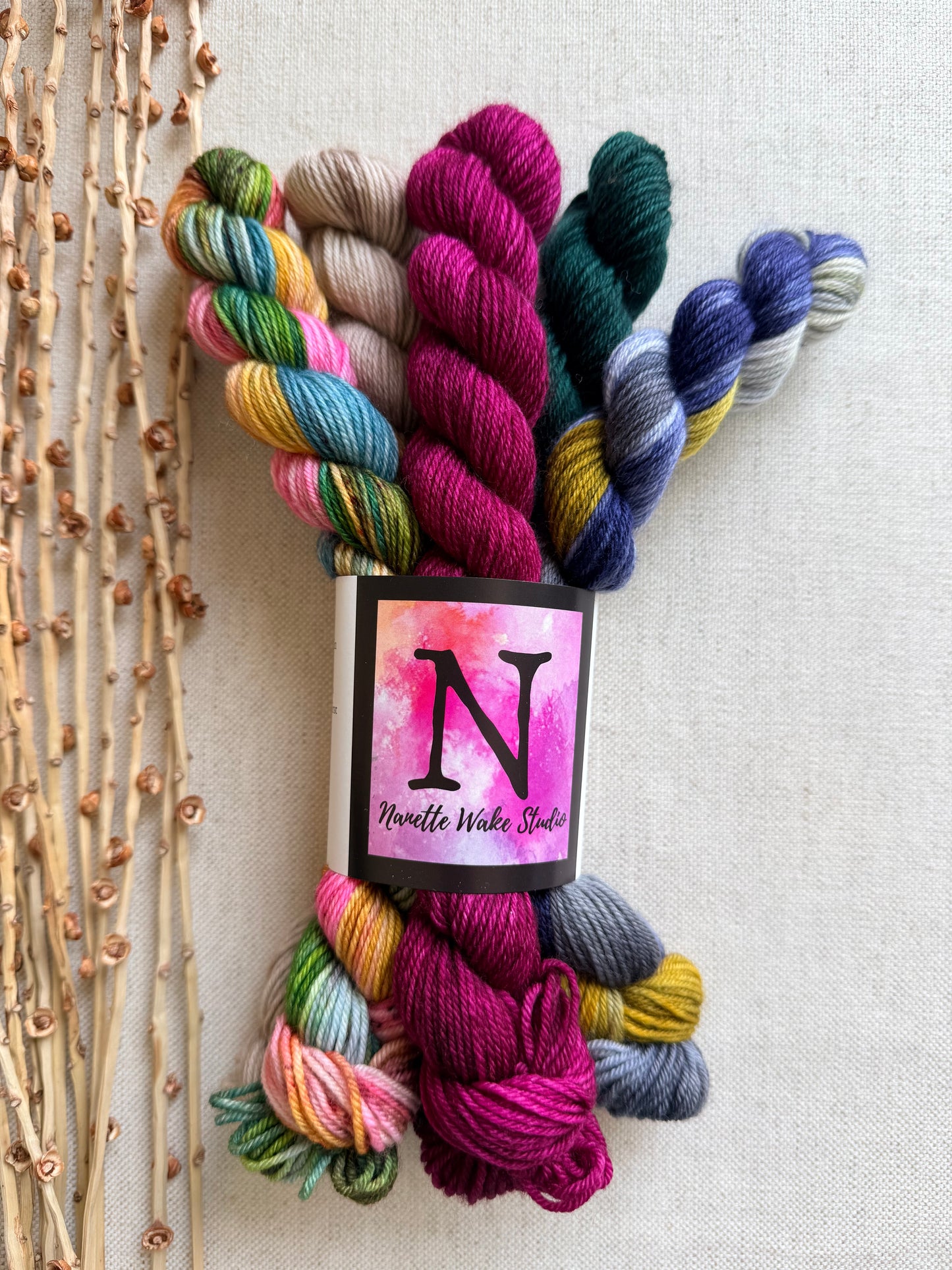 Old Barn Door - SW Merino Nylon Mini Skein Set