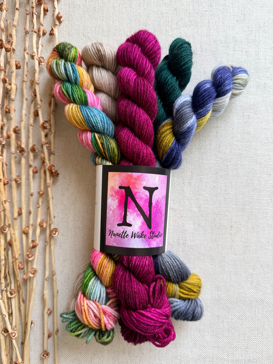 Old Barn Door - SW Merino Nylon Mini Skein Set