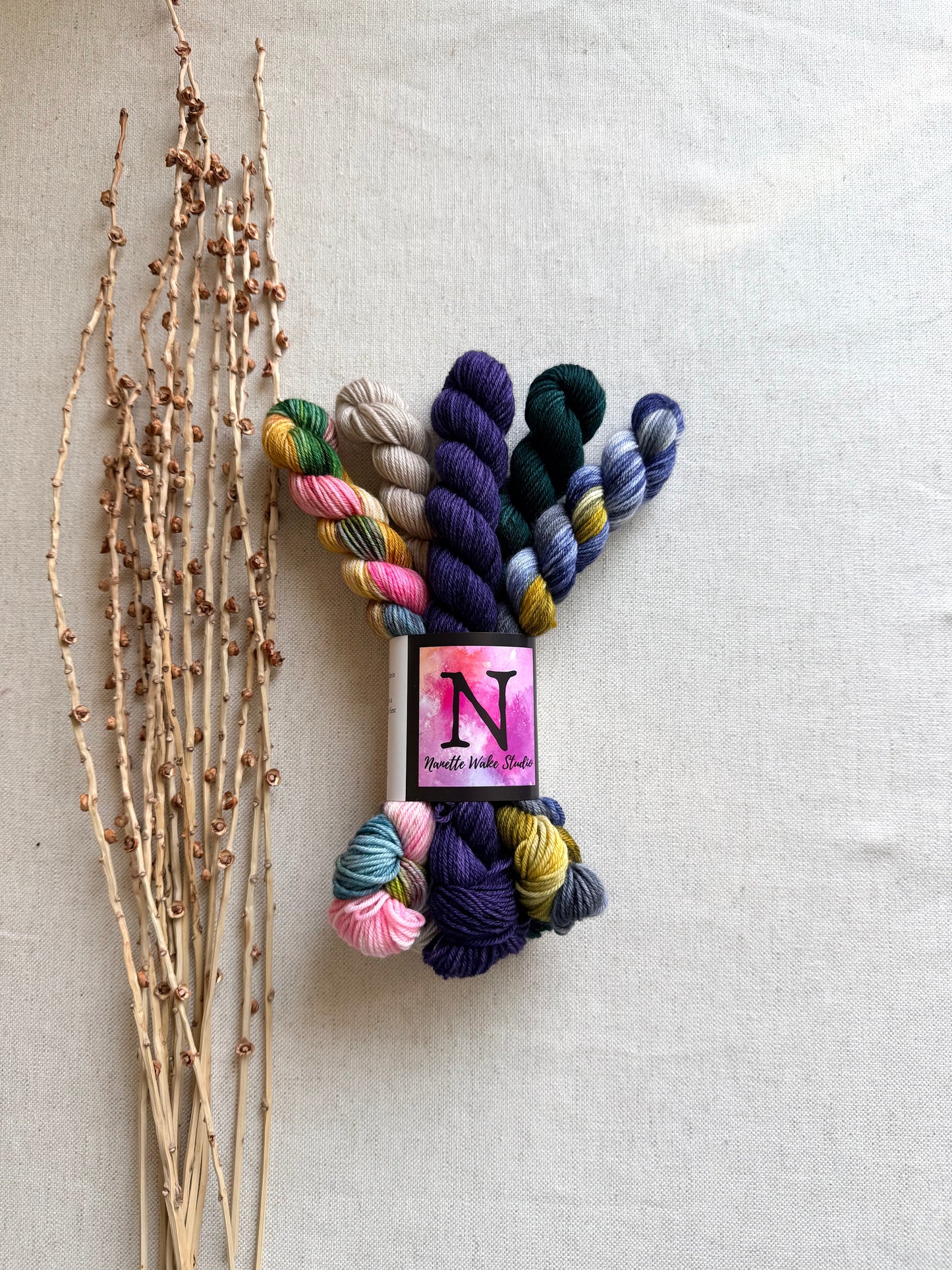 Old Barn Door - SW Merino Nylon Mini Skein Set