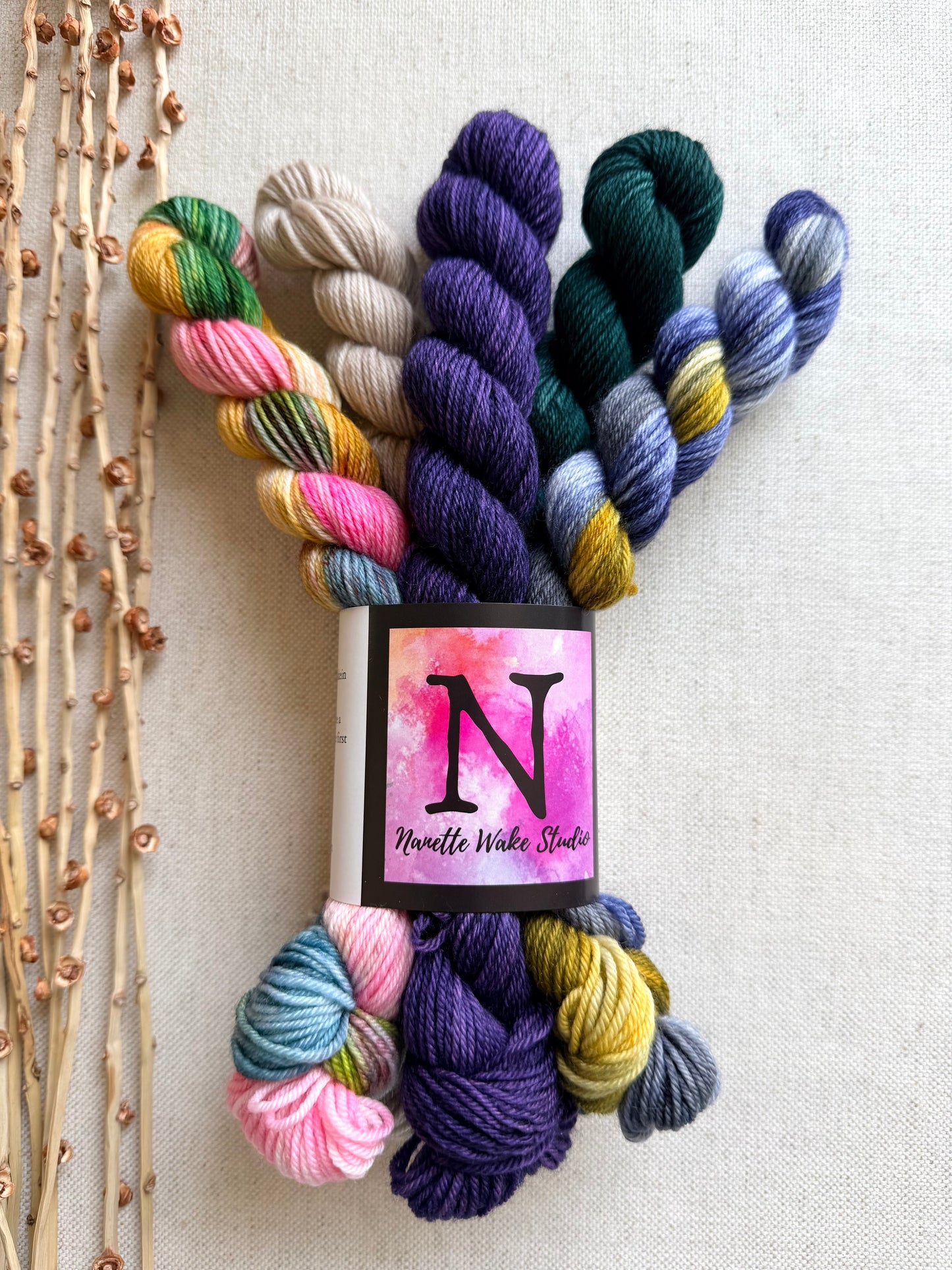 Old Barn Door - SW Merino Nylon Mini Skein Set