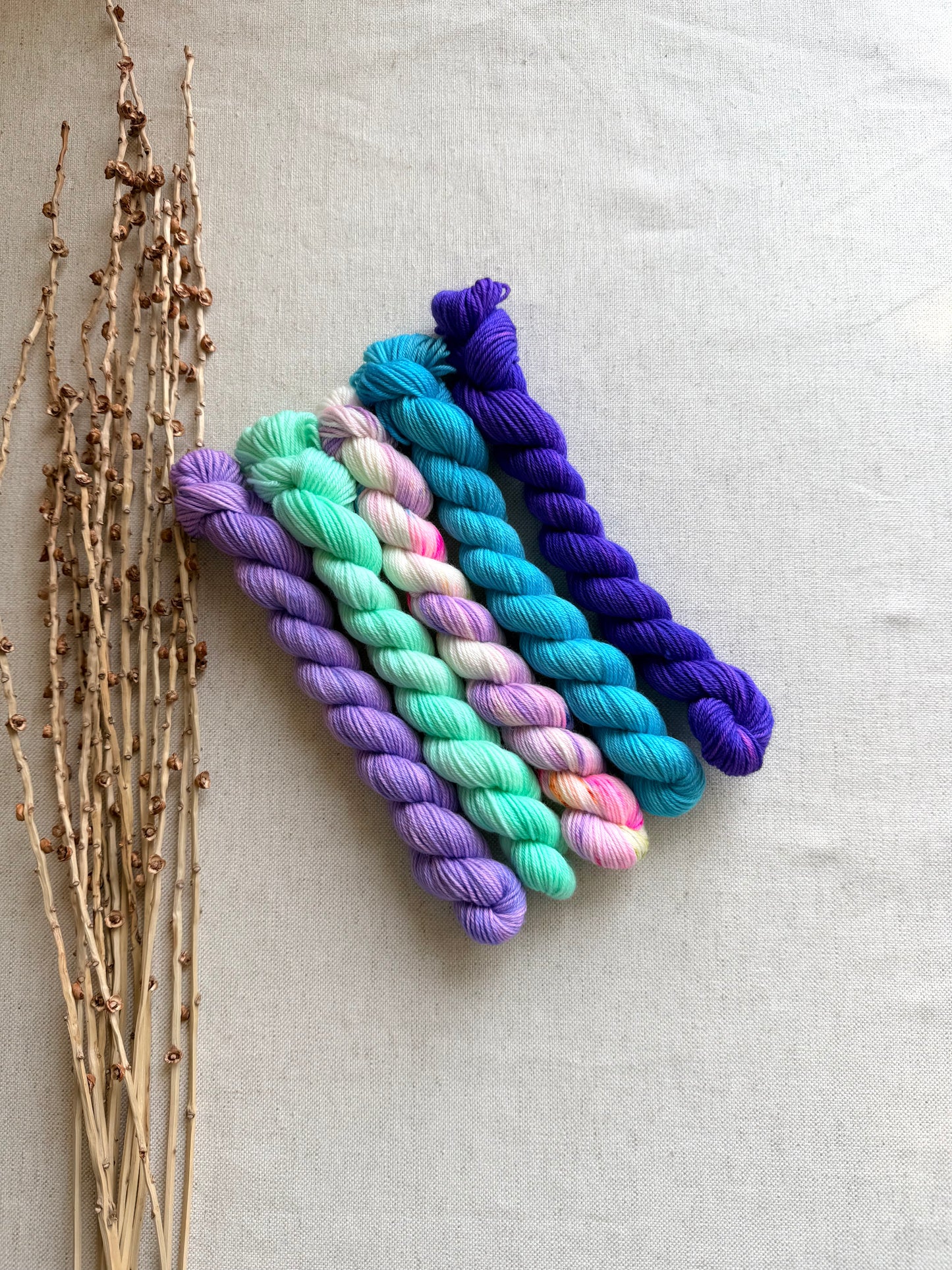 Icy - SW Merino Nylon Mini Skein Set