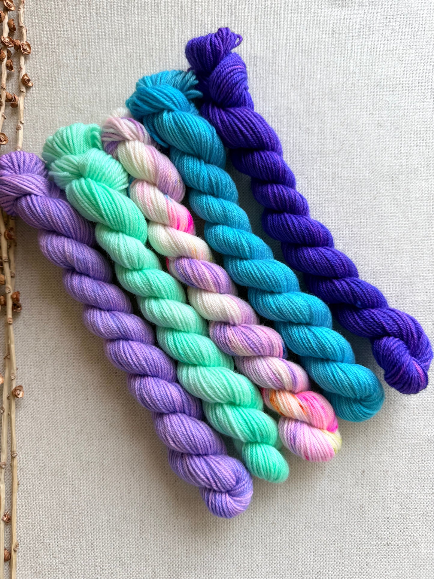 Icy - SW Merino Nylon Mini Skein Set