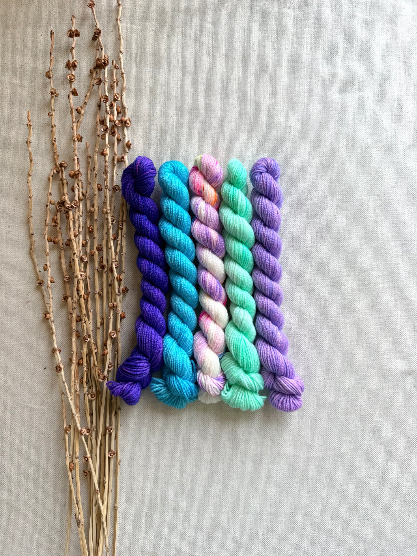 Icy - SW Merino Nylon Mini Skein Set