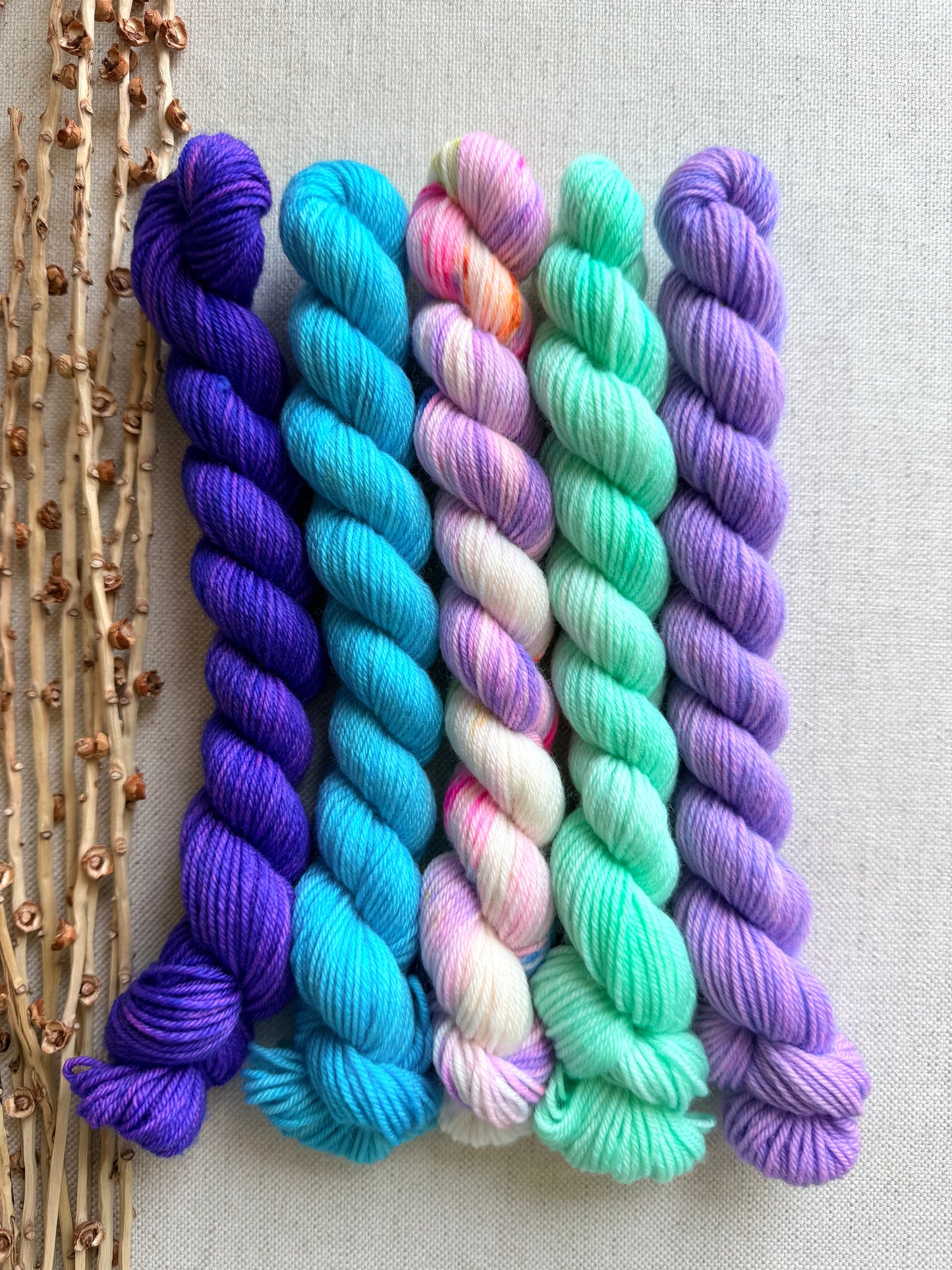 Icy - SW Merino Nylon Mini Skein Set