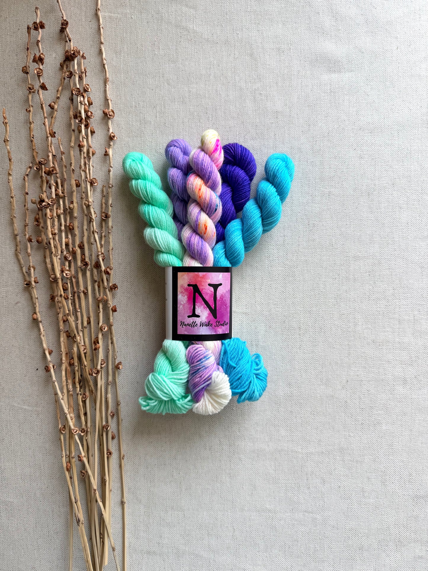 Icy - SW Merino Nylon Mini Skein Set