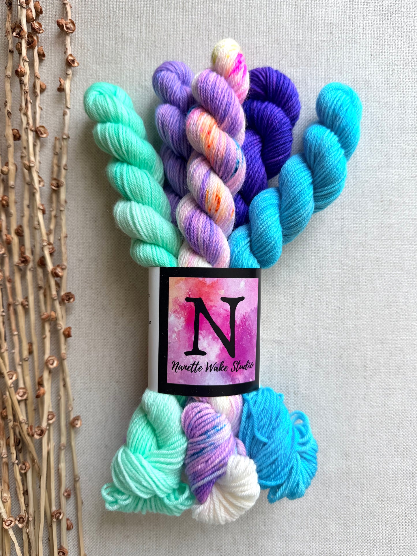 Icy - SW Merino Nylon Mini Skein Set