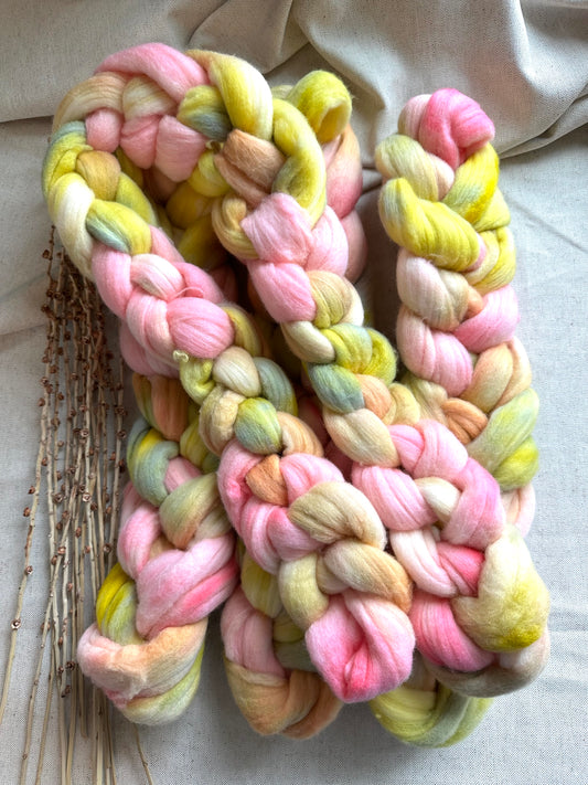 Cherry Blossoms Polwarth Top Spinning Fiber