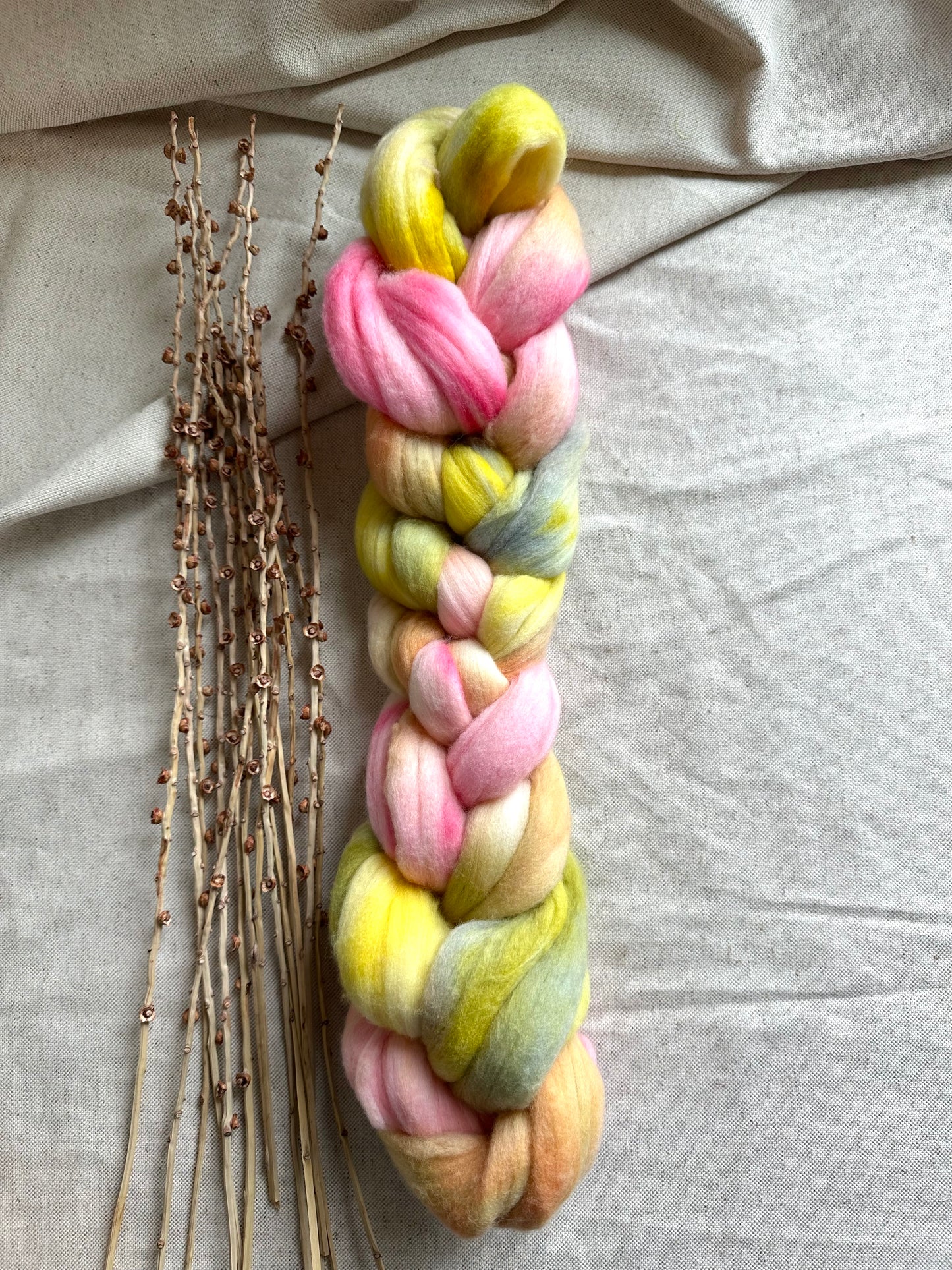 Cherry Blossoms Polwarth Top Spinning Fiber