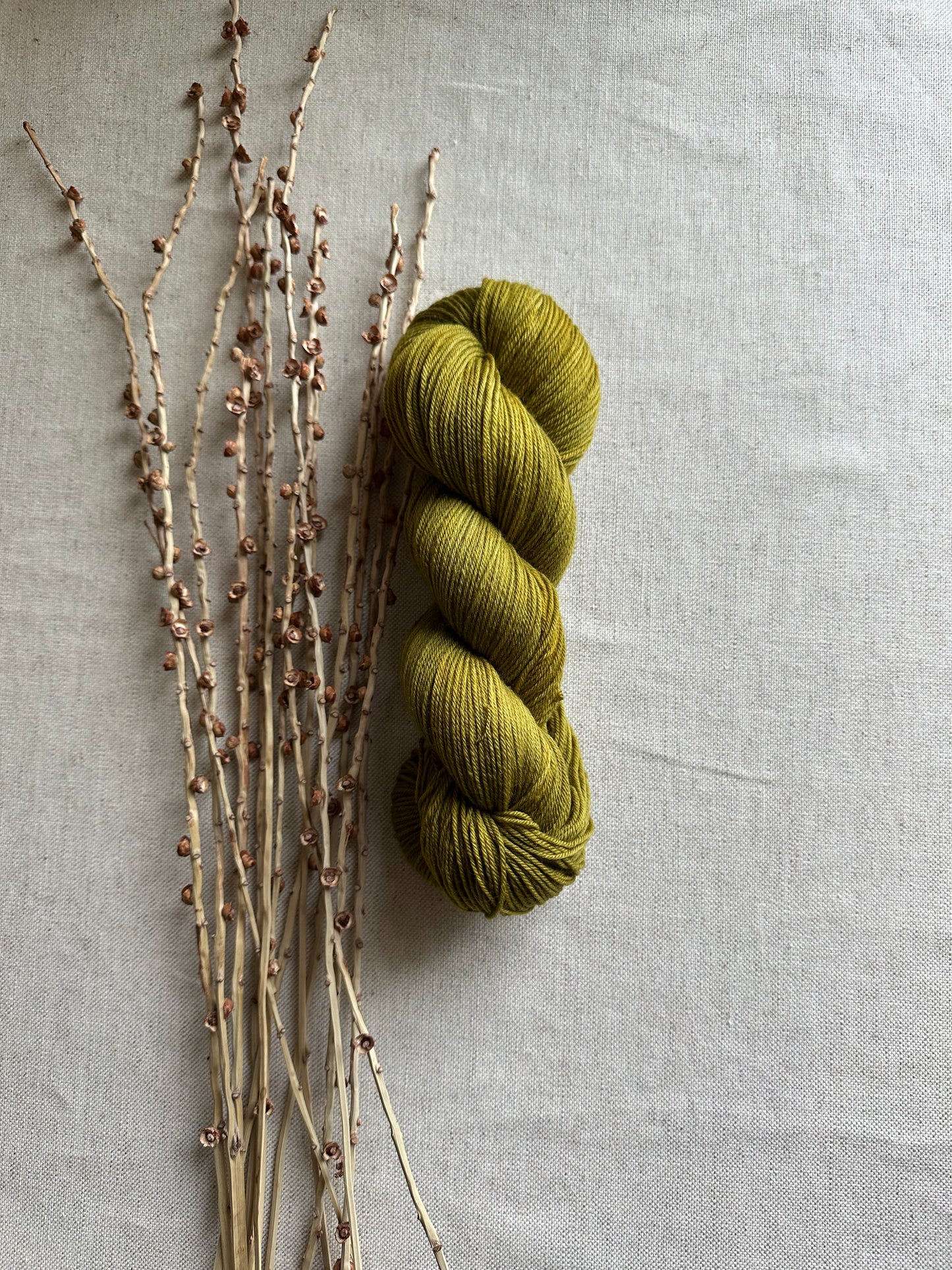 Golden Hearth - 100g SW Merino Nylon